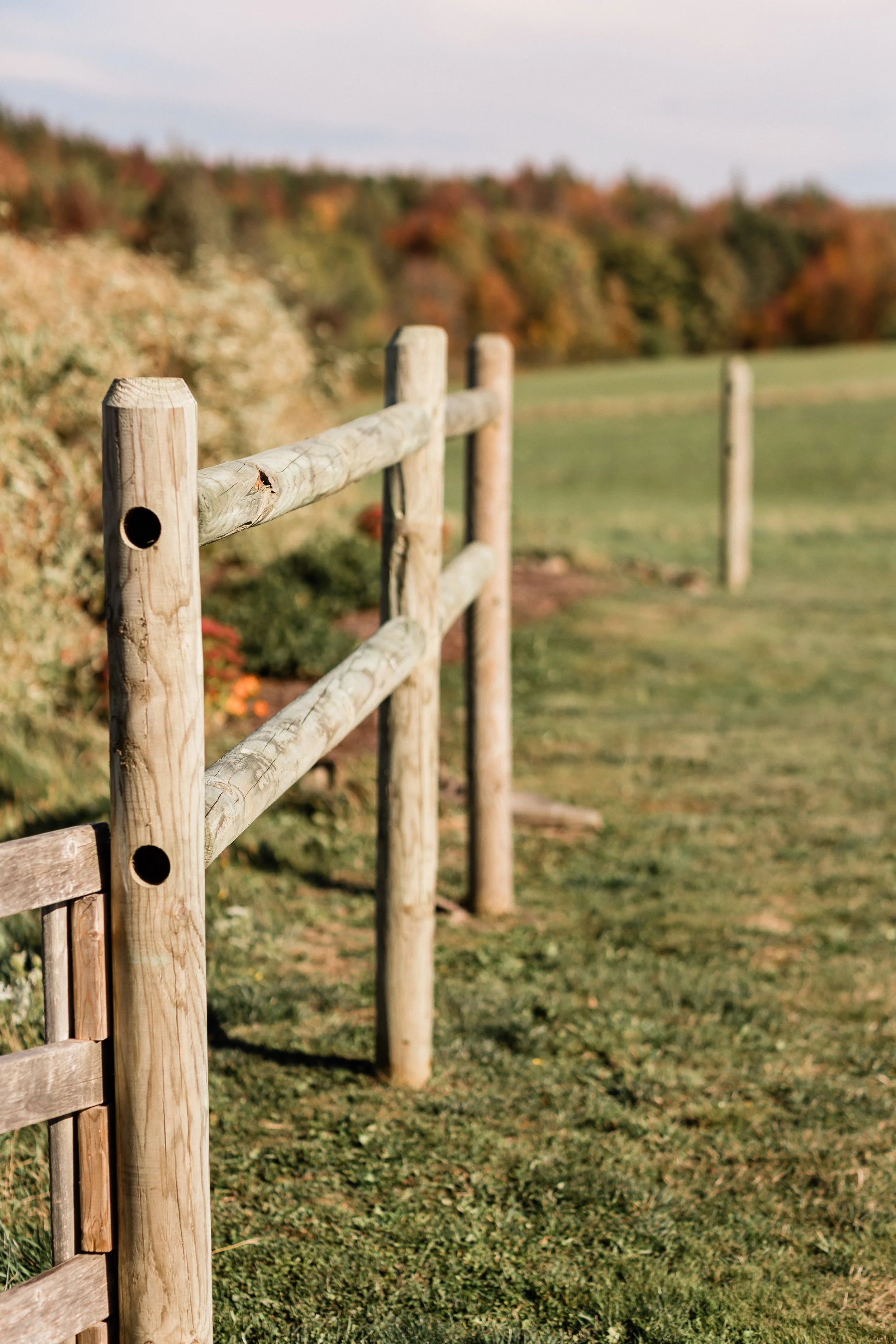 Wooden fence with a countryside landscape and autumn trees in the background.