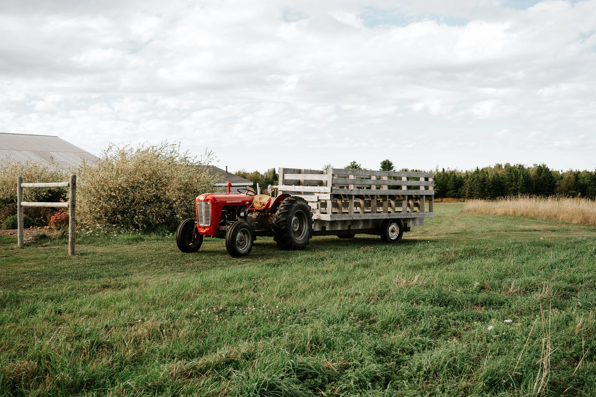 Red vintage tractor hitched to a wooden flatbed trailer in a grassy field with shrubs and trees in the background, under a partly cloudy sky.