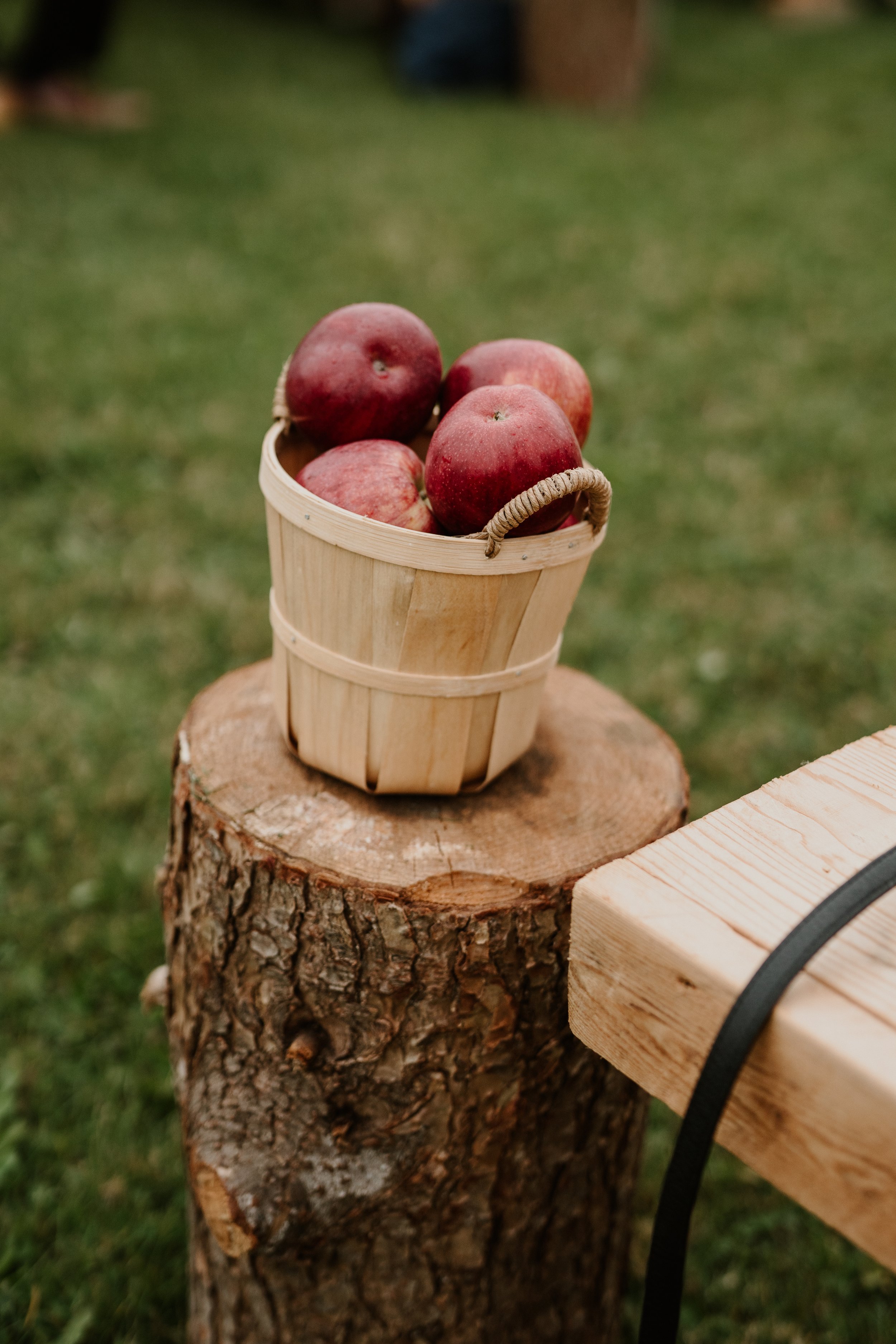 Five red apples in a small wooden basket on a tree stump outdoors.