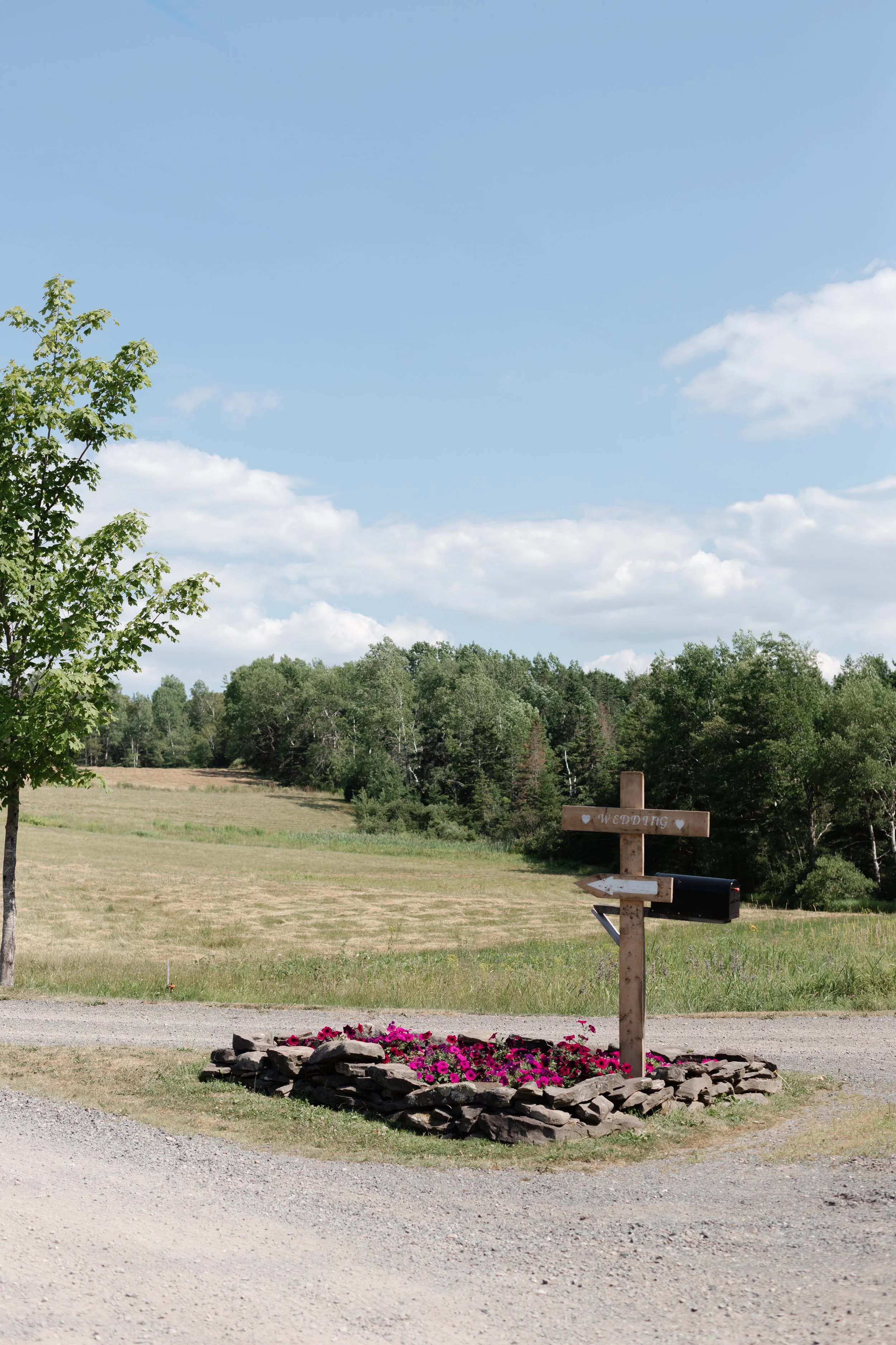 A rural scene with a wooden sign that reads 'wedding' and a mailbox nearby, a flower bed with pink flowers, a dirt road, and a backdrop of green trees under a partly cloudy blue sky.