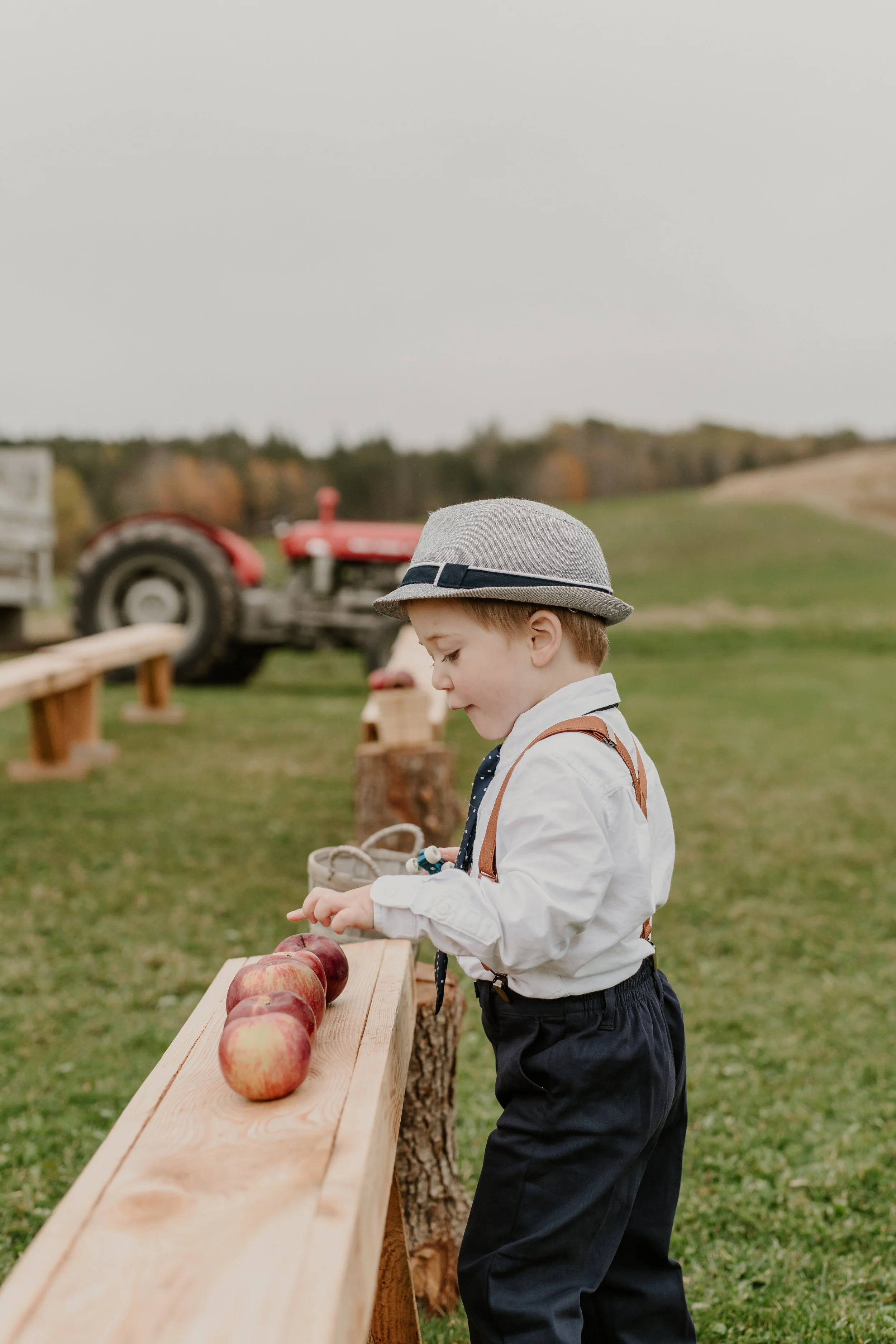 A young boy in vintage clothes, white shirt, dark pants, and a gray fedora hat, selecting apples from a wooden bench outdoors.