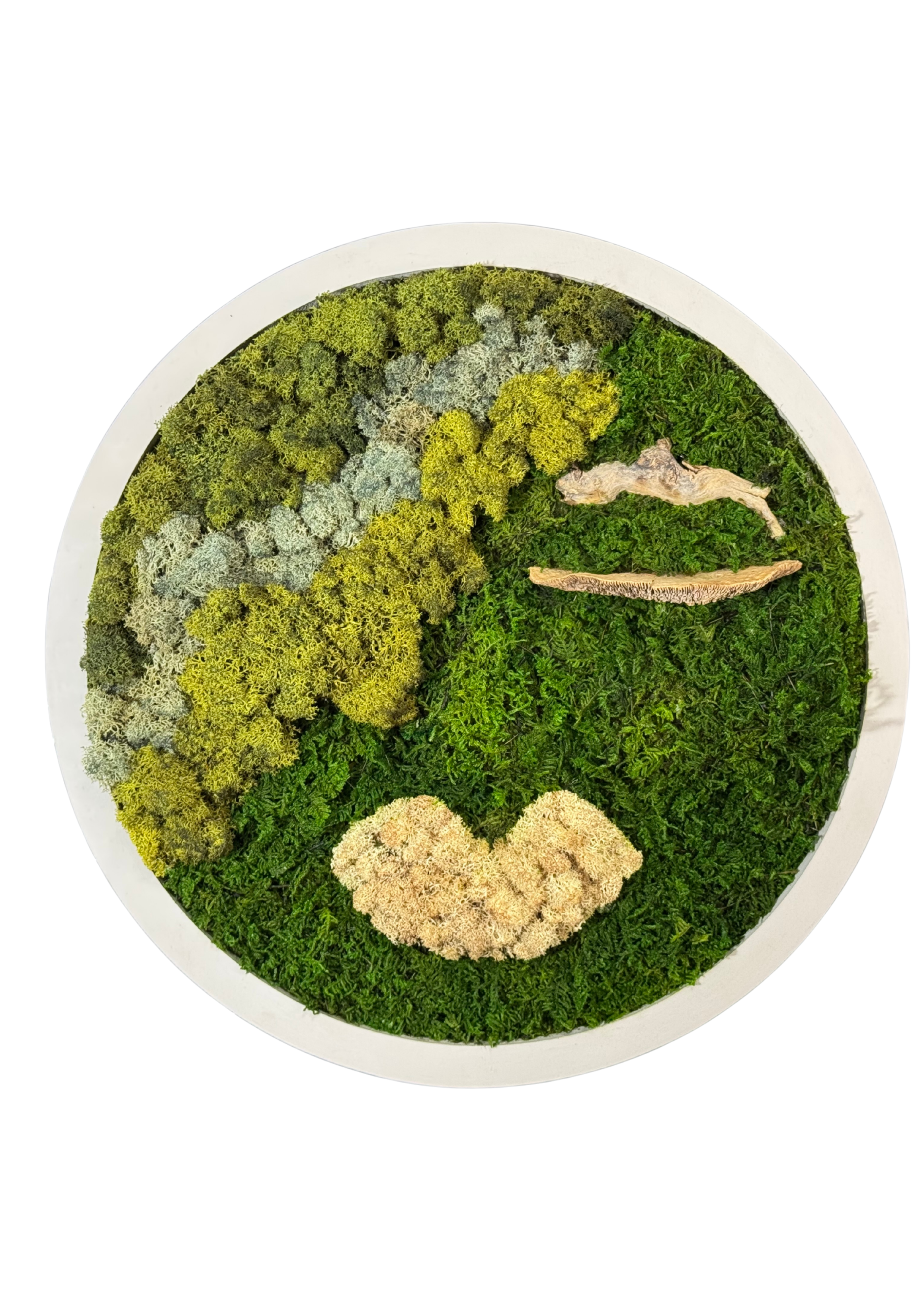 Decor Appeal Moss Art Exhibition — CCAL Public Gallery at Chapin Theatre Company