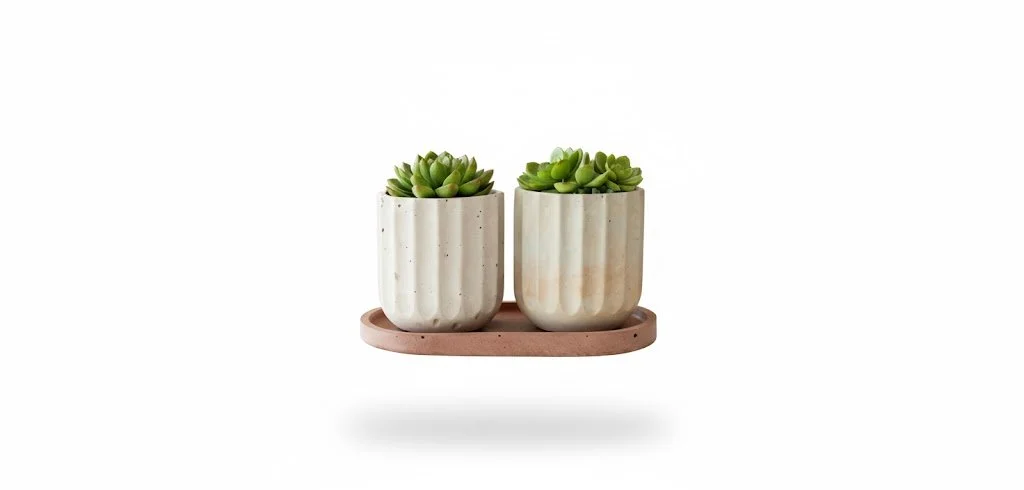 Modern Cement Duo Planters