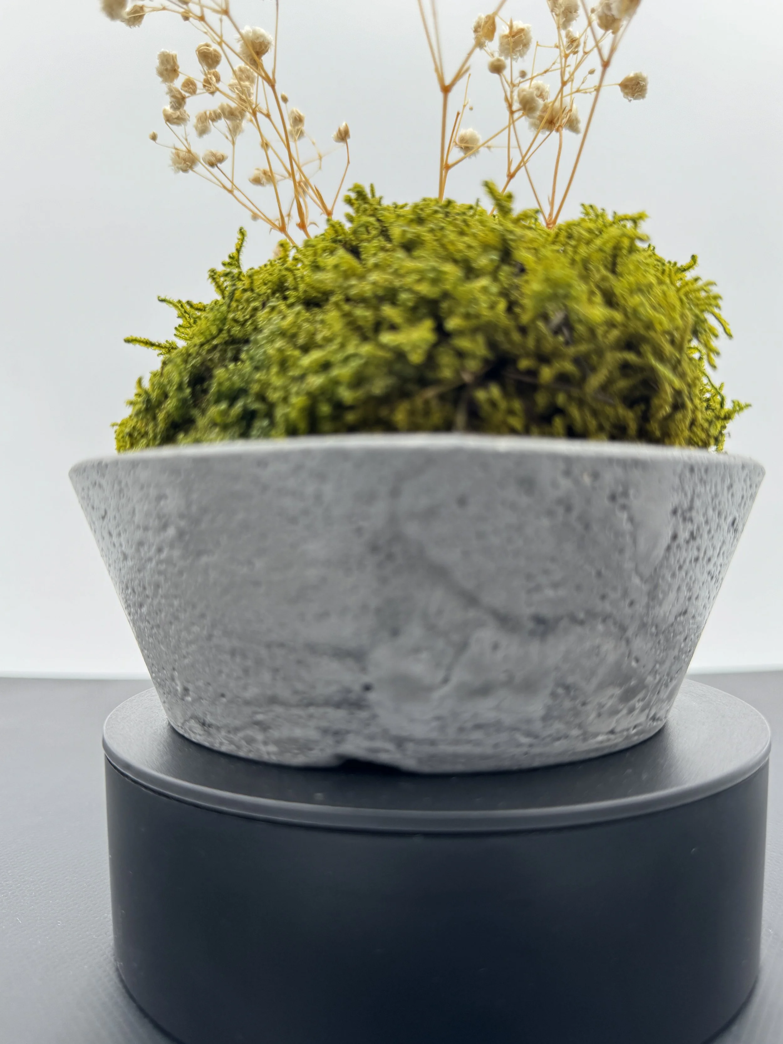 Meadow Whisper Moss Bowl