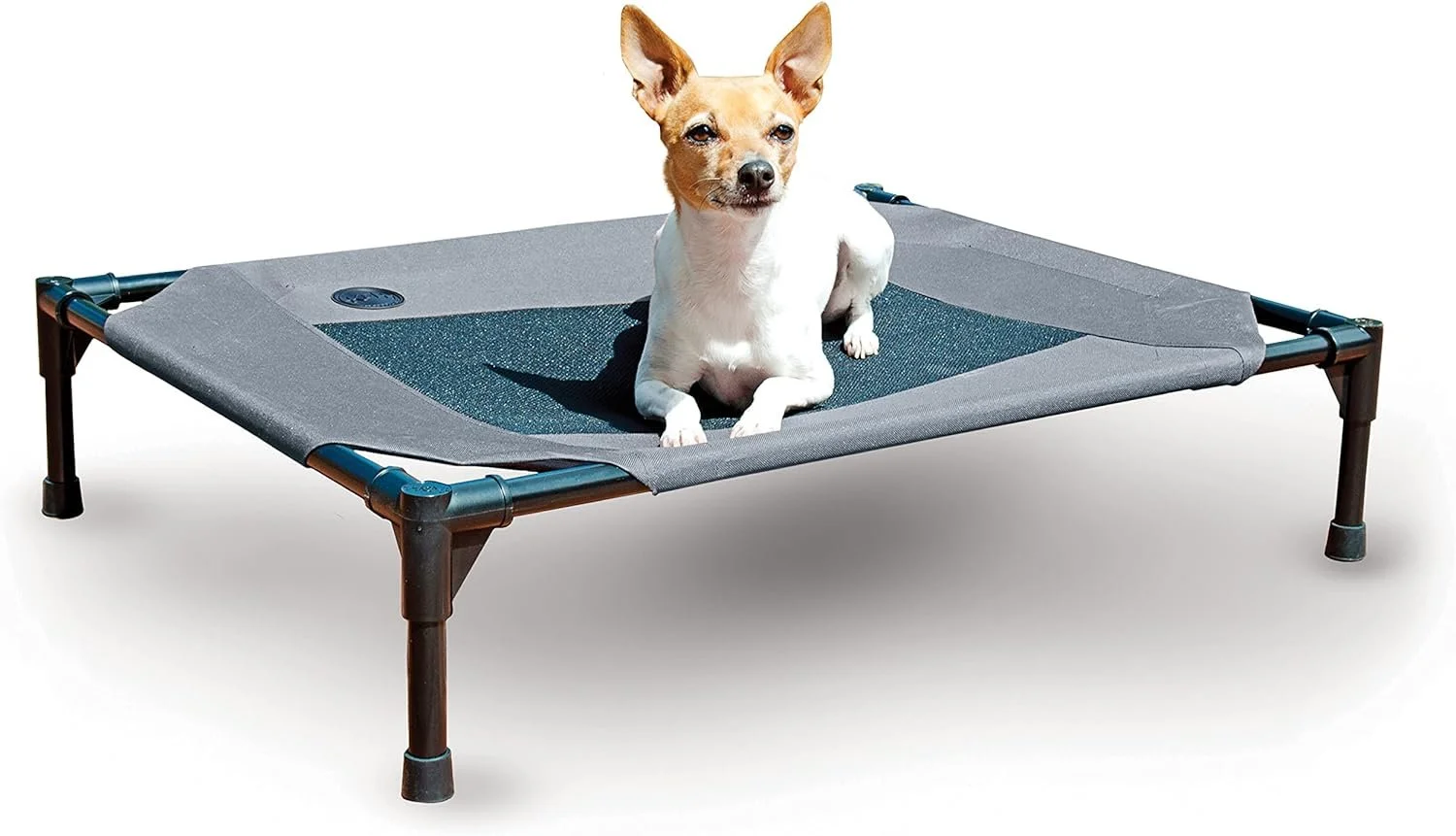 Outdoor Elevated Dog Cot