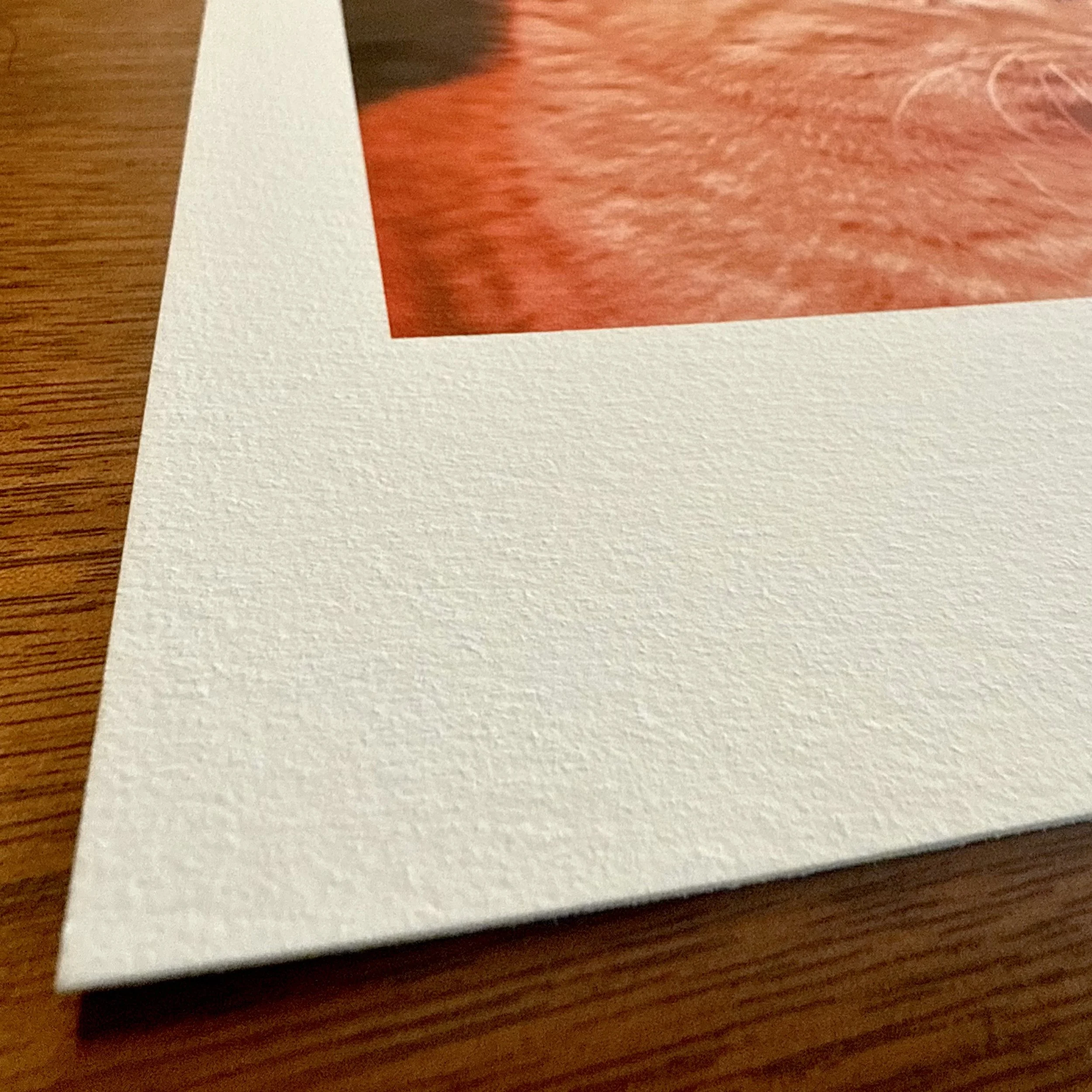 Order Prints