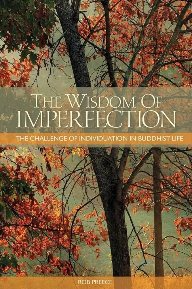 Review - The Wisdom of Imperfections