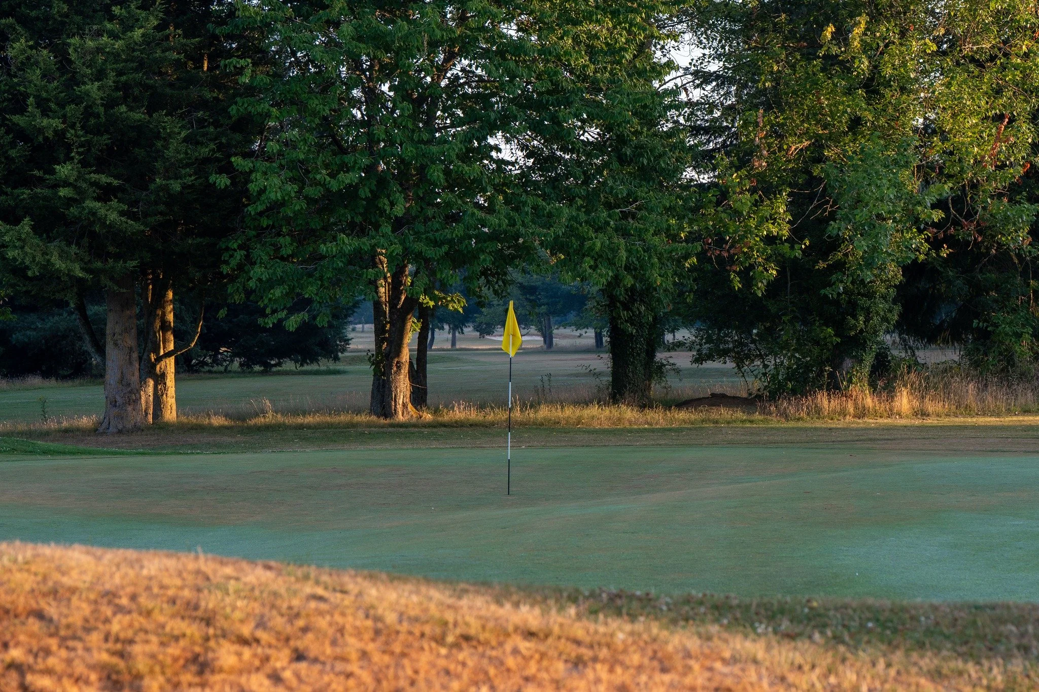 Make the most of the season with a round at Worldham. Whether it&rsquo;s a weekend fourball or a midweek escape, your next game awaits. 🏌️&zwj;♂️