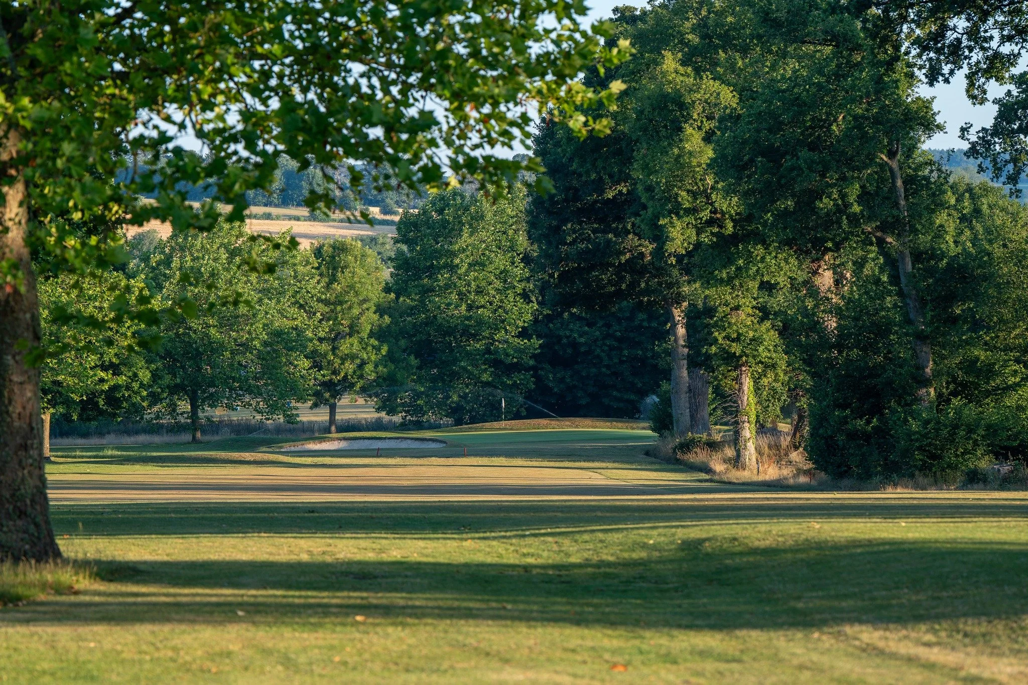 January may be nearly over, but there&rsquo;s still plenty of golf to be played. 🏌️&zwj;♂️⛳ Book your tee time at Worldham and enjoy a refreshing round this winter!

https://bit.ly/WorldhamTeeTimes