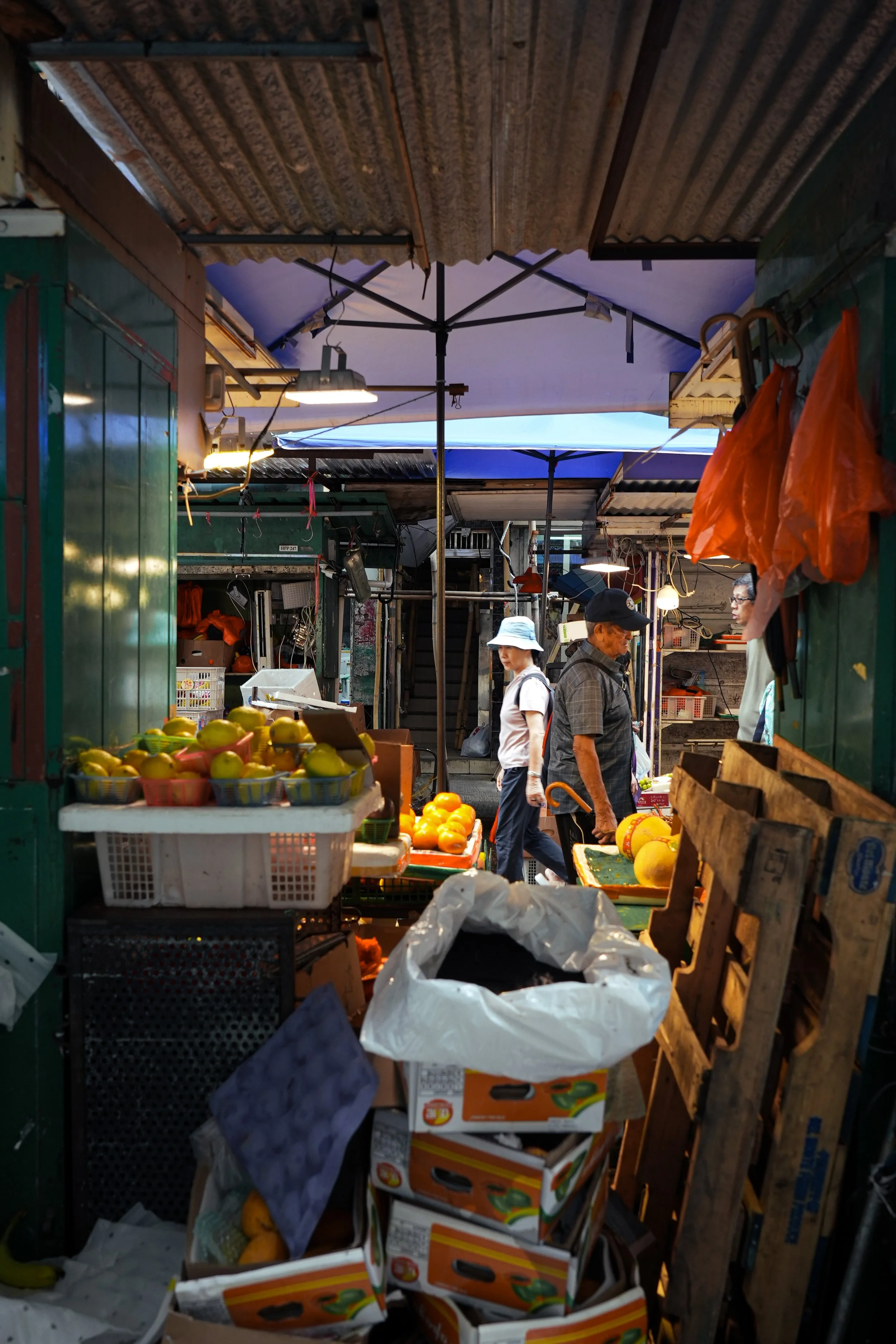 DSC00413.jpg