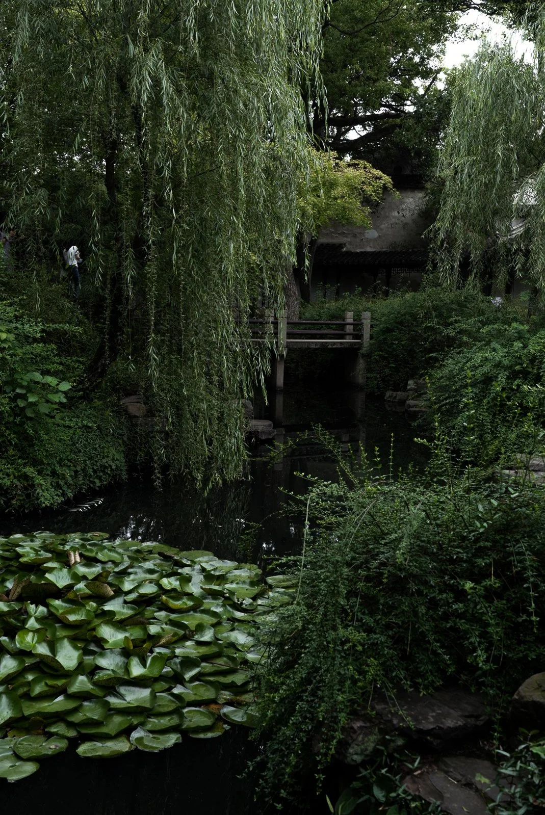 DSC06176-2.jpg