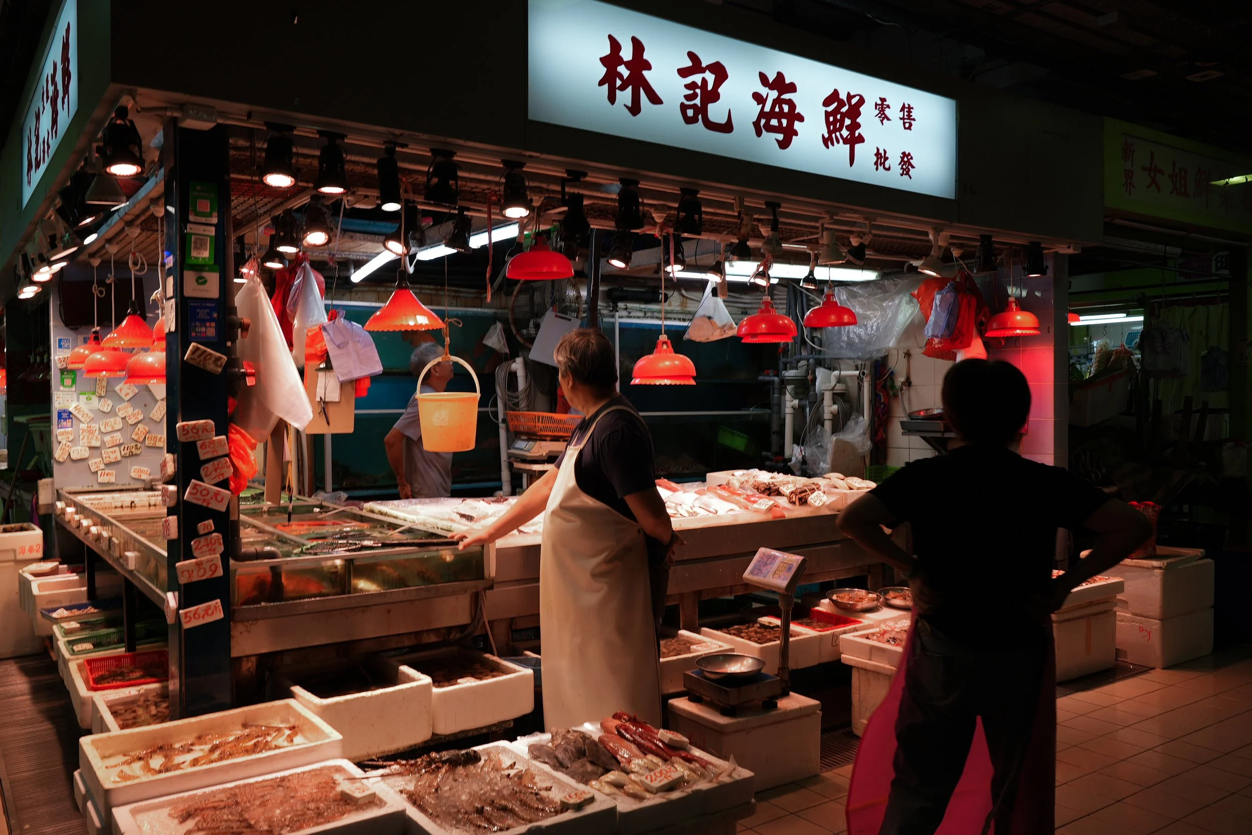 DSC01293 2-2.jpg