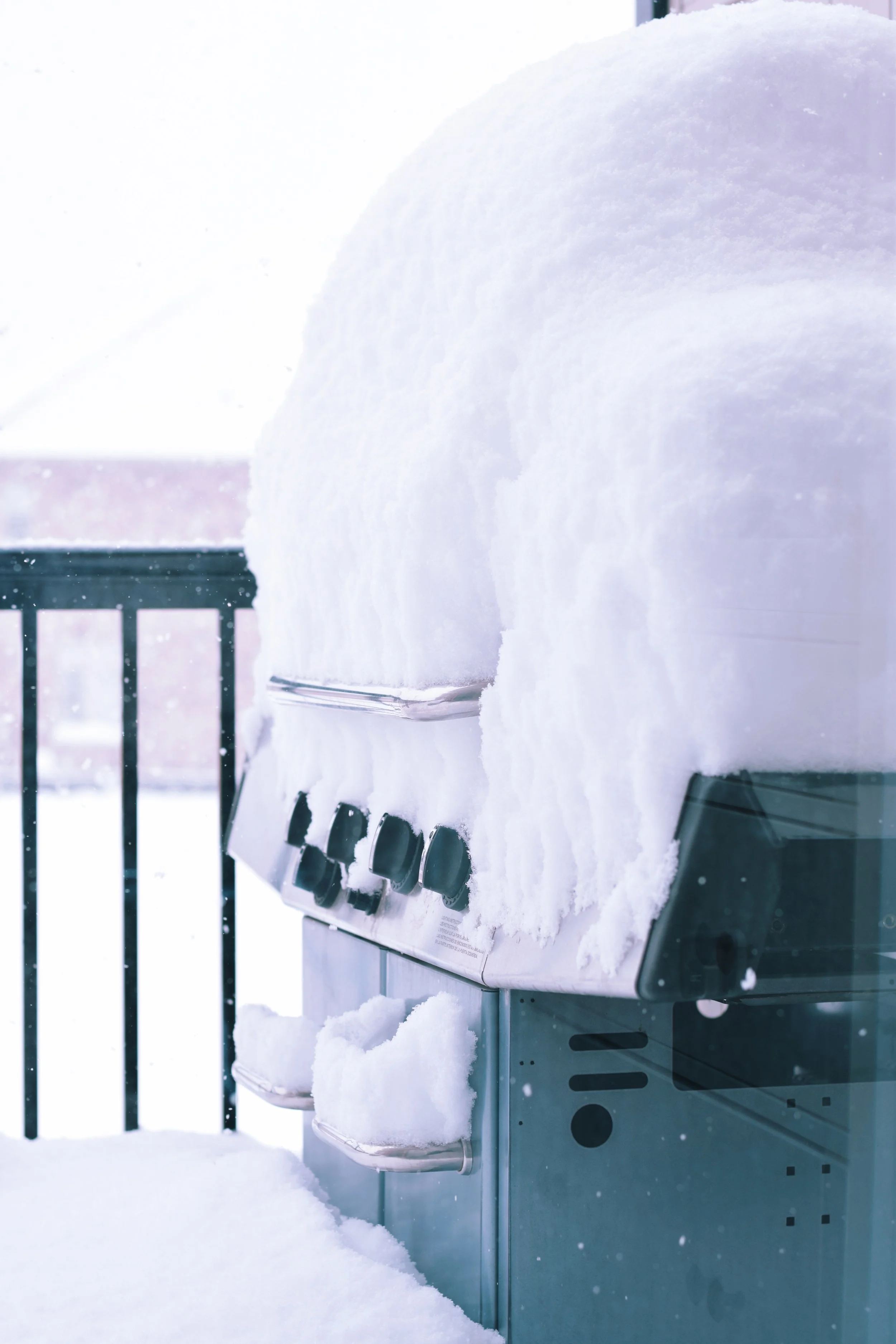 Your Seasonal Grill Care Guide (What to Do & What to Leave to Us)