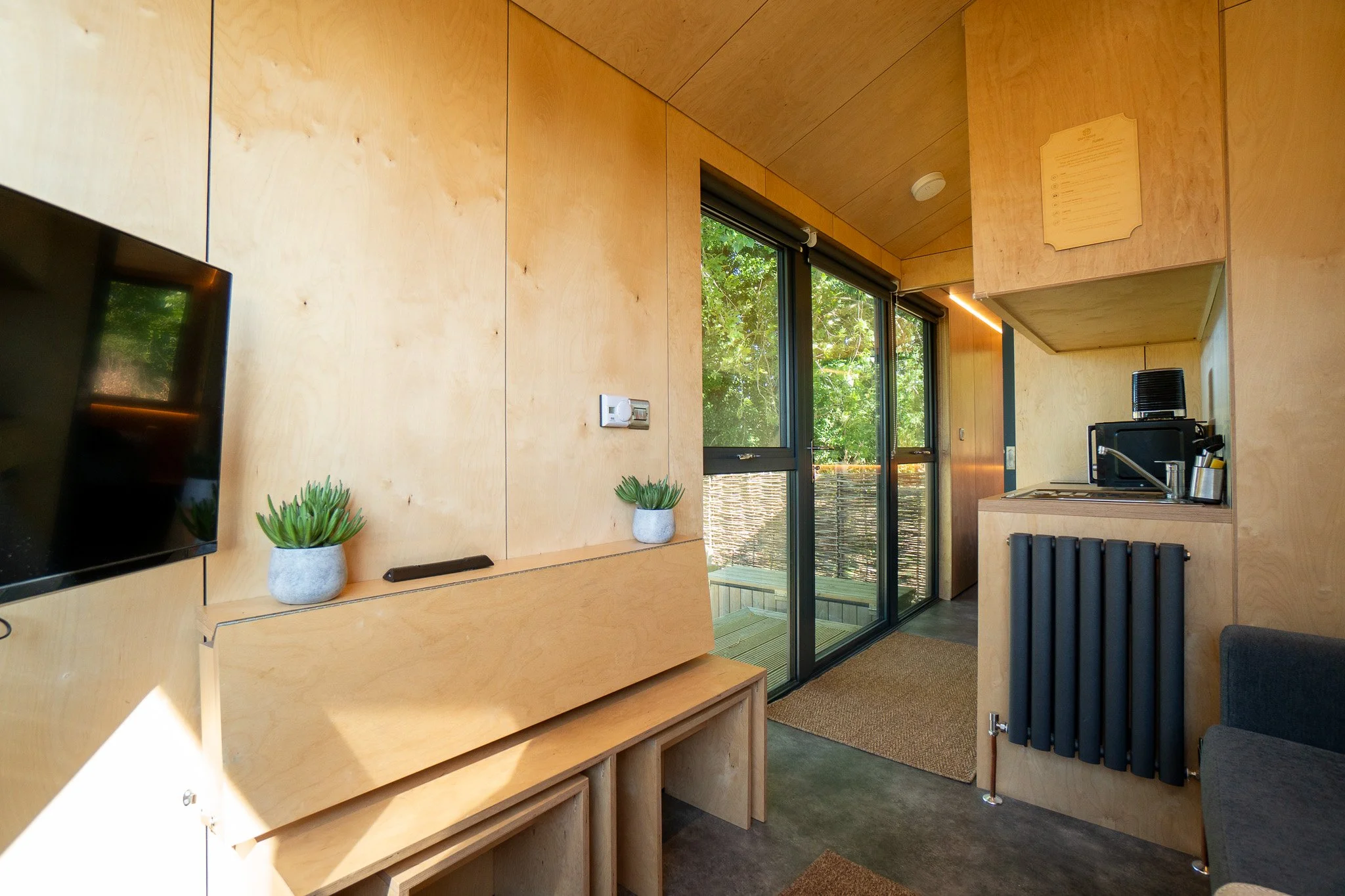 Interior of a modern, minimalist room with plywood walls, glass sliding doors, a TV, small potted plants, a microwave, and a black radiator.