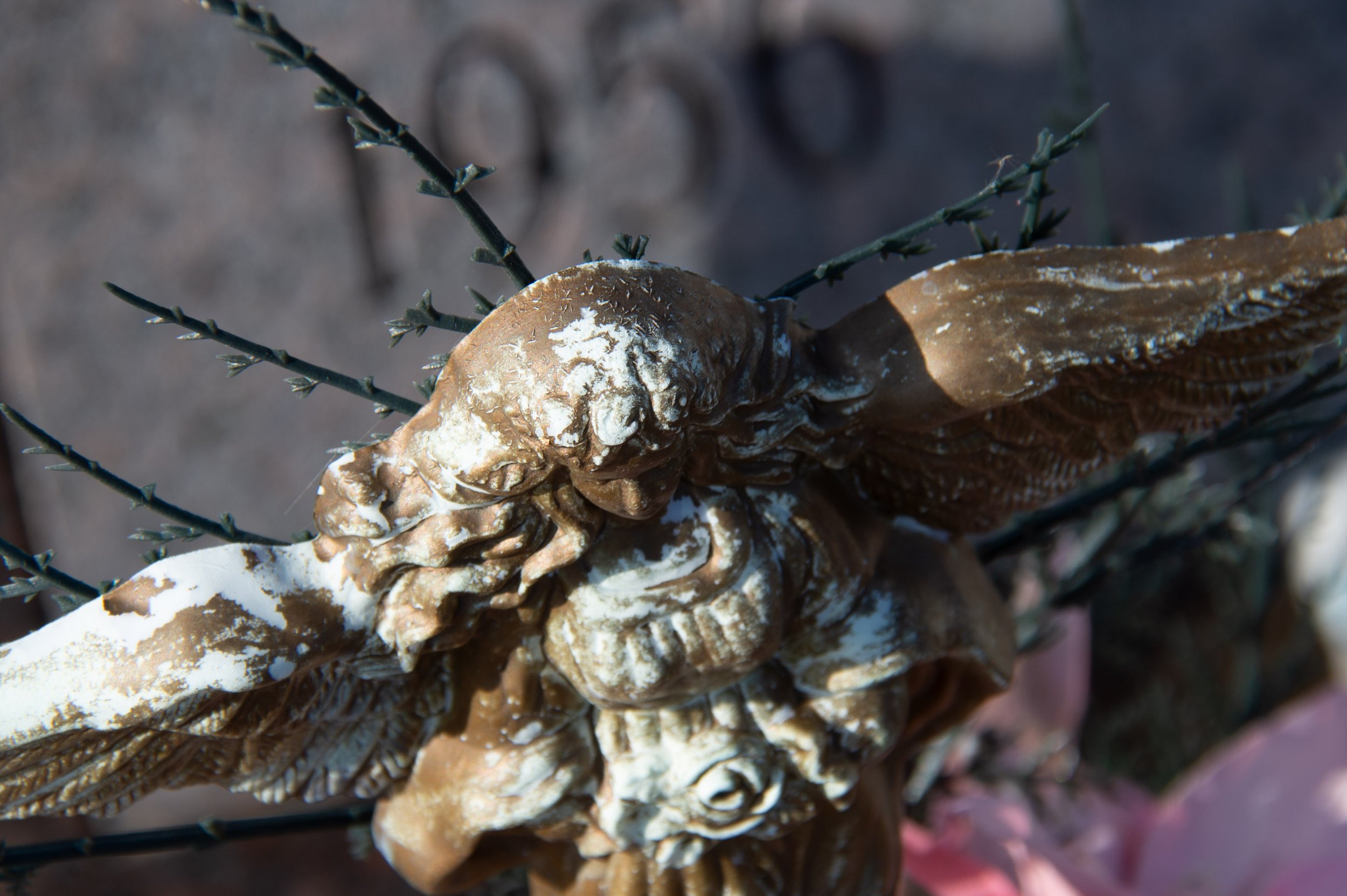 Memento Mori-126.jpg