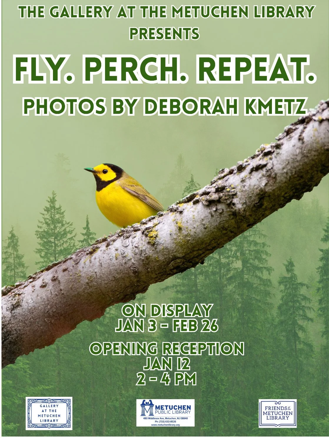 My first solo exhibit! Jan. 2025