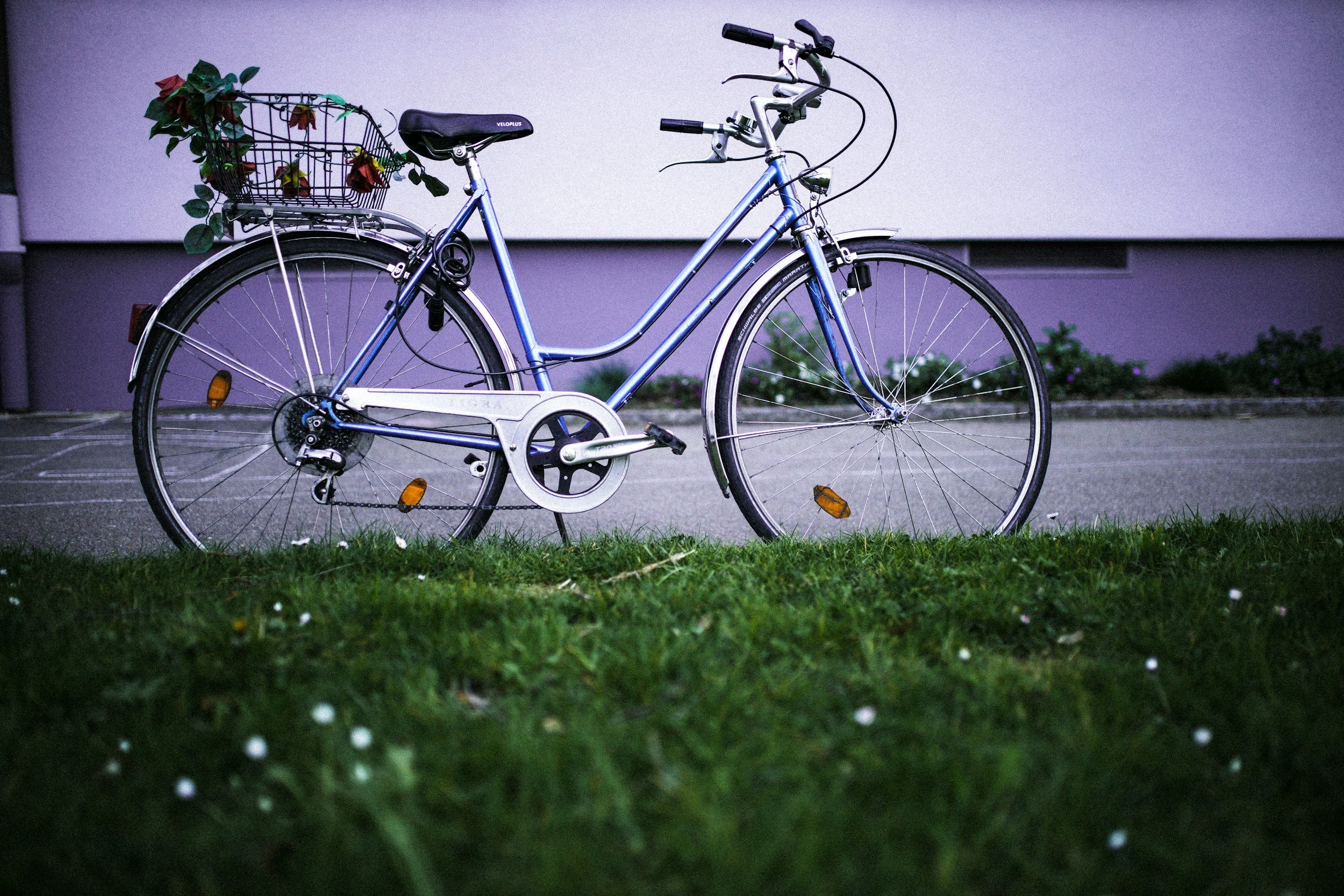 unsplash-image-bkFC_Y-k3oI.jpg