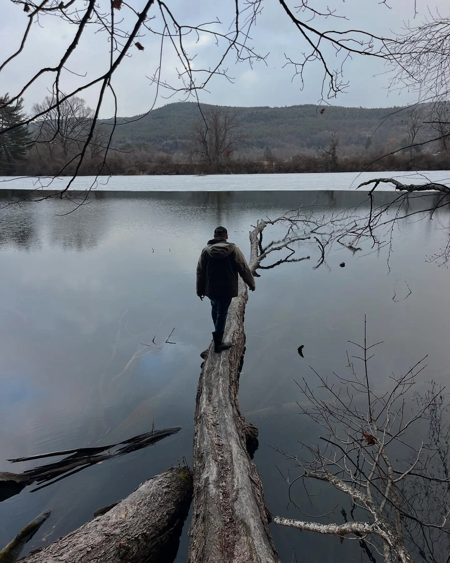 A person walking on a fallen tree trunk over a lake, surrounded by leafless trees and mountains in the background on a cloudy day.