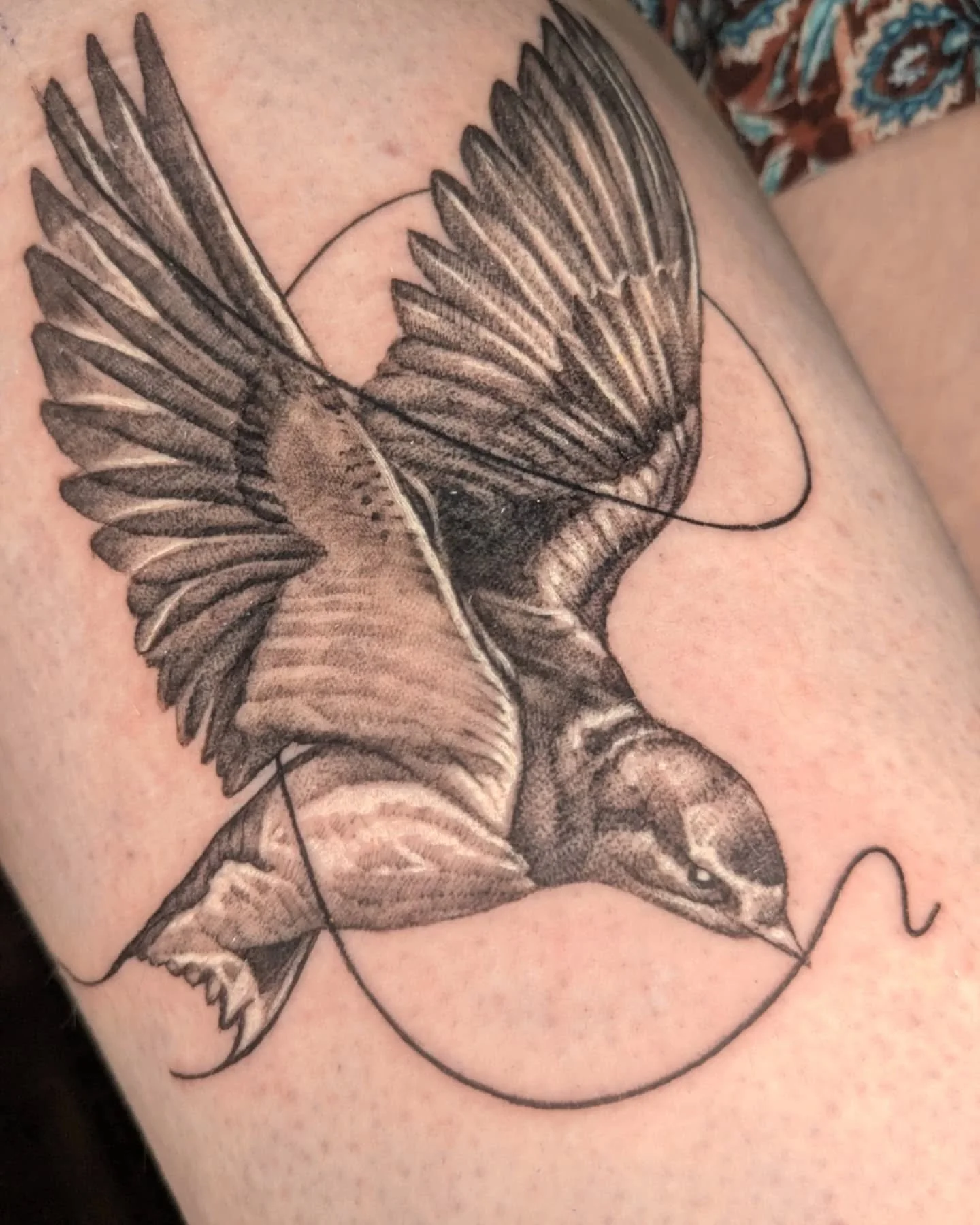 A swallow (more to be added) &amp; two tattoos a month healed.

I'm going to launch my updated website eventually. Hopefully soon. And with it, I will be launching a healed photos competition for the most creative shot (because I'm boring with mine).