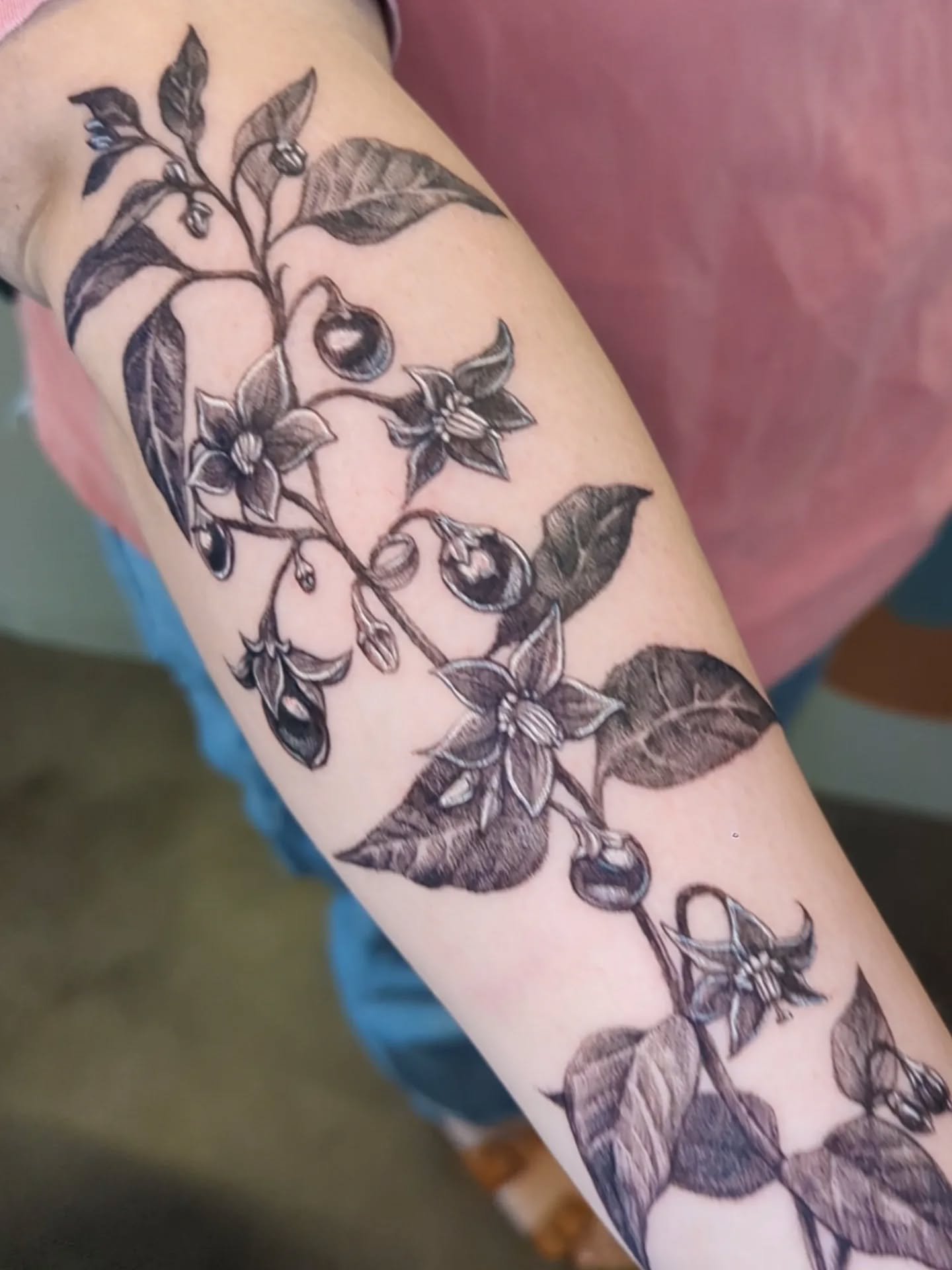 Deadly nightshade for a botanical tattoo-lover~

.
.
.
#dentontattoos #dfwtattoos #dallastattooartist #botanicaltattoos #texastattooartist