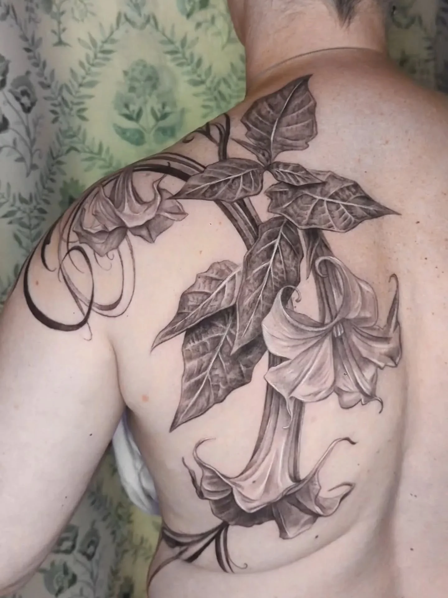 This 7-8 hour session produced such a beautiful brugmansia tattoo. Thank you for sitting through a long session! 

.
.
.
#dentontattoos #dfwtattoos #fortworthtattoos #botanicaltattoos #dentontx