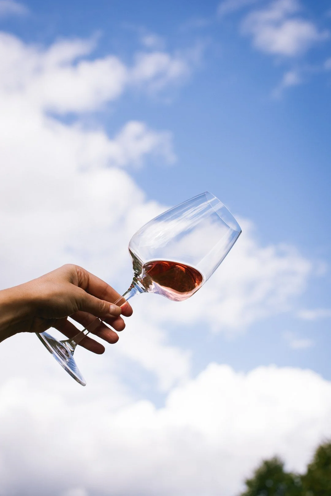 2026-MS-Wines-byGMQ-web-17.jpg