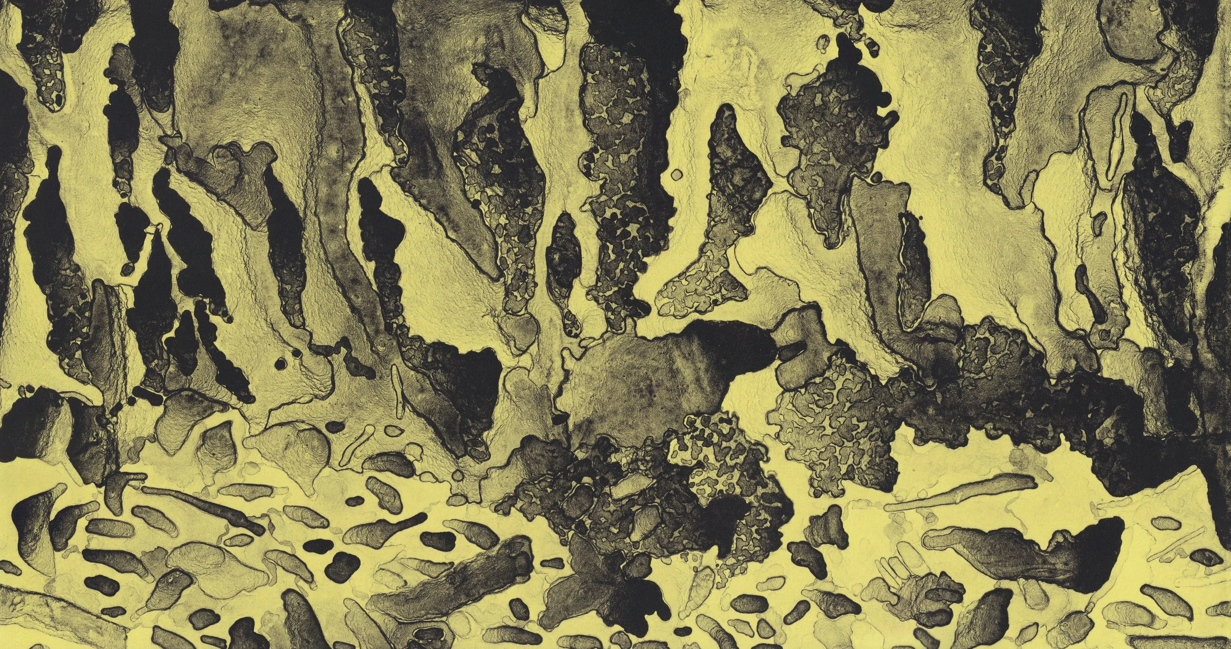 Arboretum (Green), 2018. Lithograph on paper. Cynthia "Marris" Juárez.
