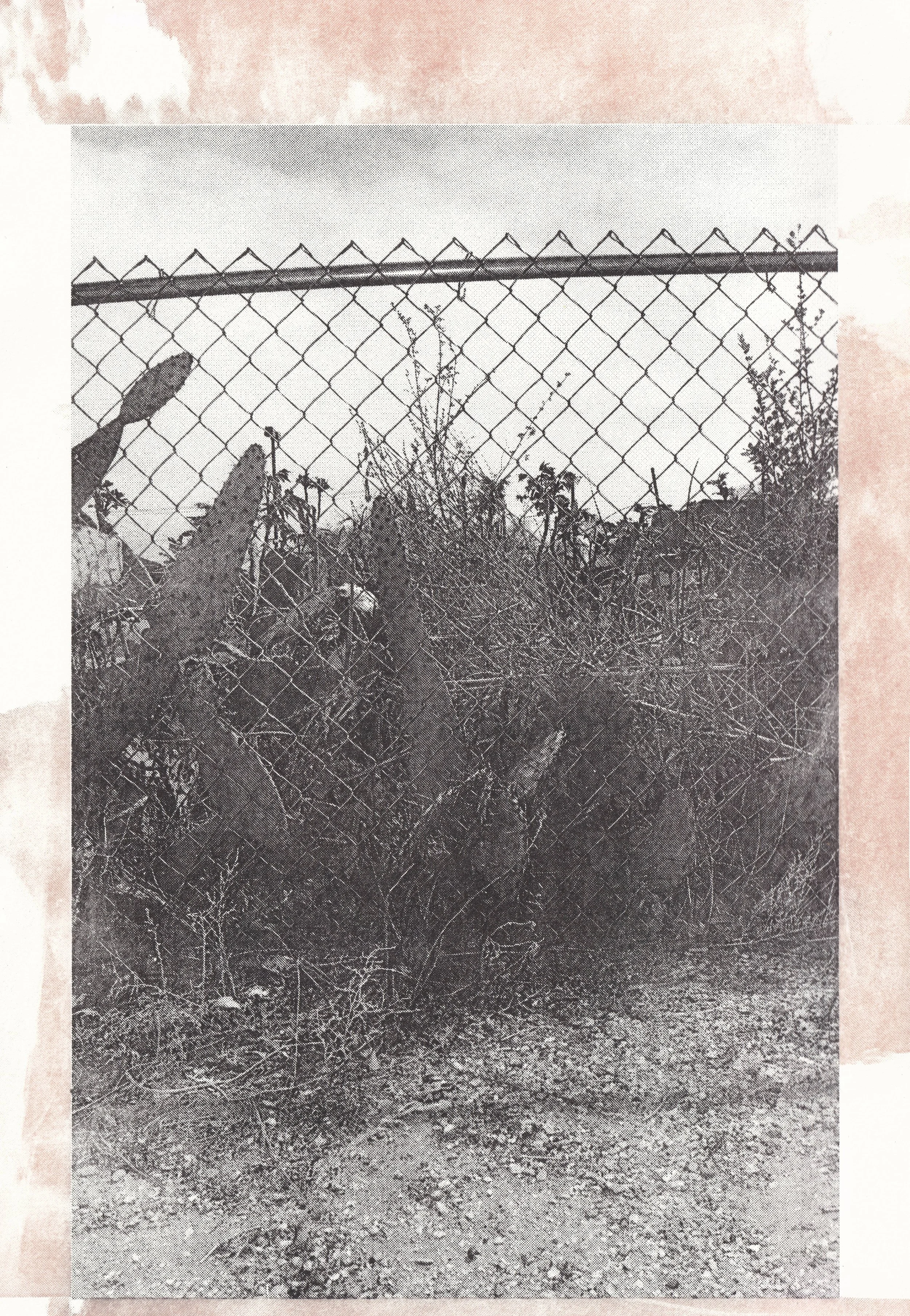 Cross, 2018. Lithograph on paper. Cynthia "Marris" Juárez.
