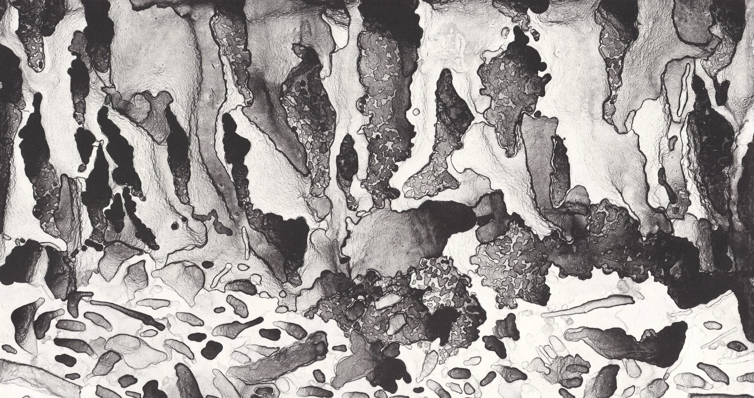 Arboretum (White), 2018. Lithograph on paper. Cynthia "Marris" Juárez.