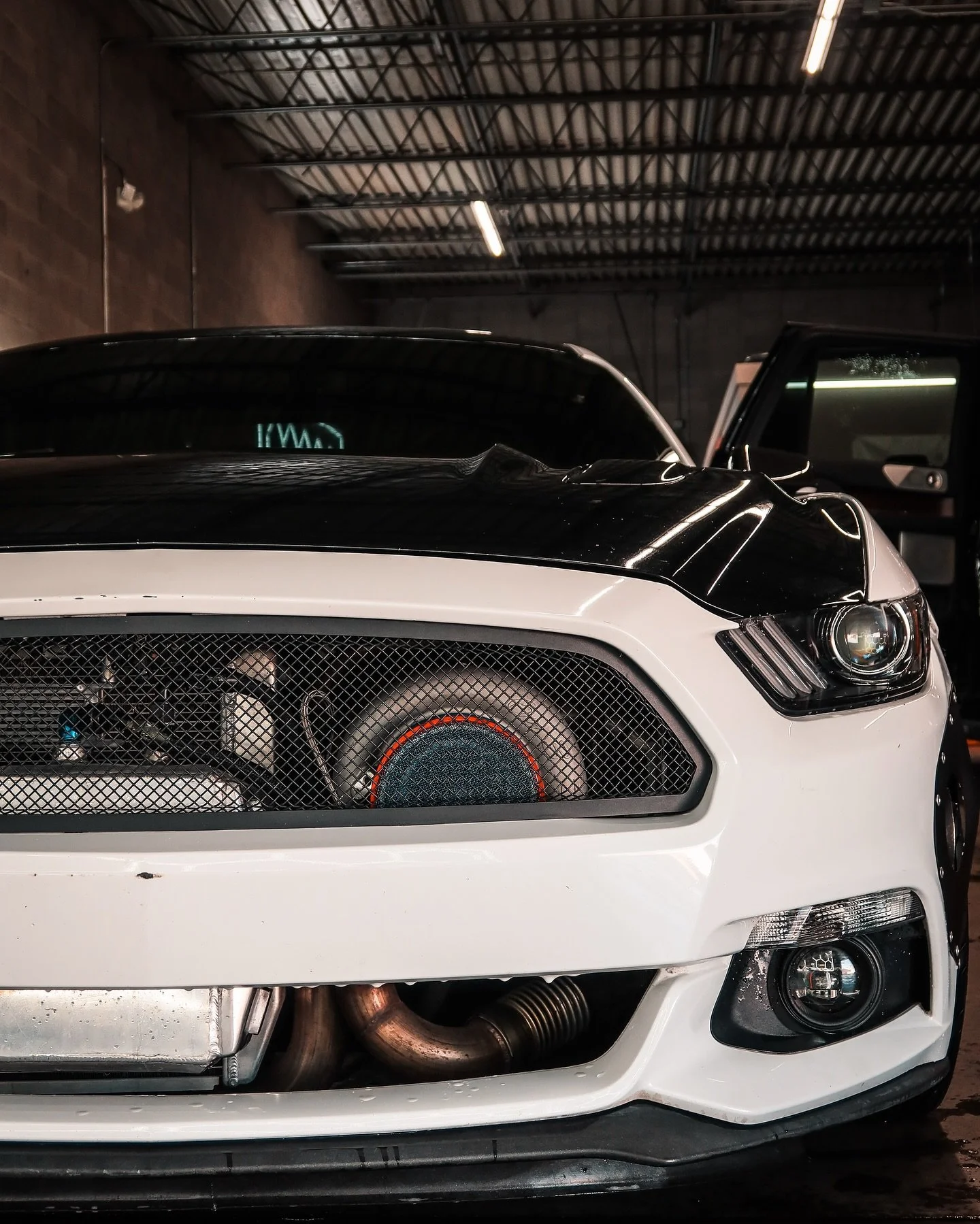 This ProCharged Mustang rolled through for a Premium Hand Wash and Engine Bay Detail &mdash; and left looking like it belongs on a showroom floor. When you&rsquo;re packing boost, your detail game better match.
#WoksDetailing #SuperchargedStyle #Ford