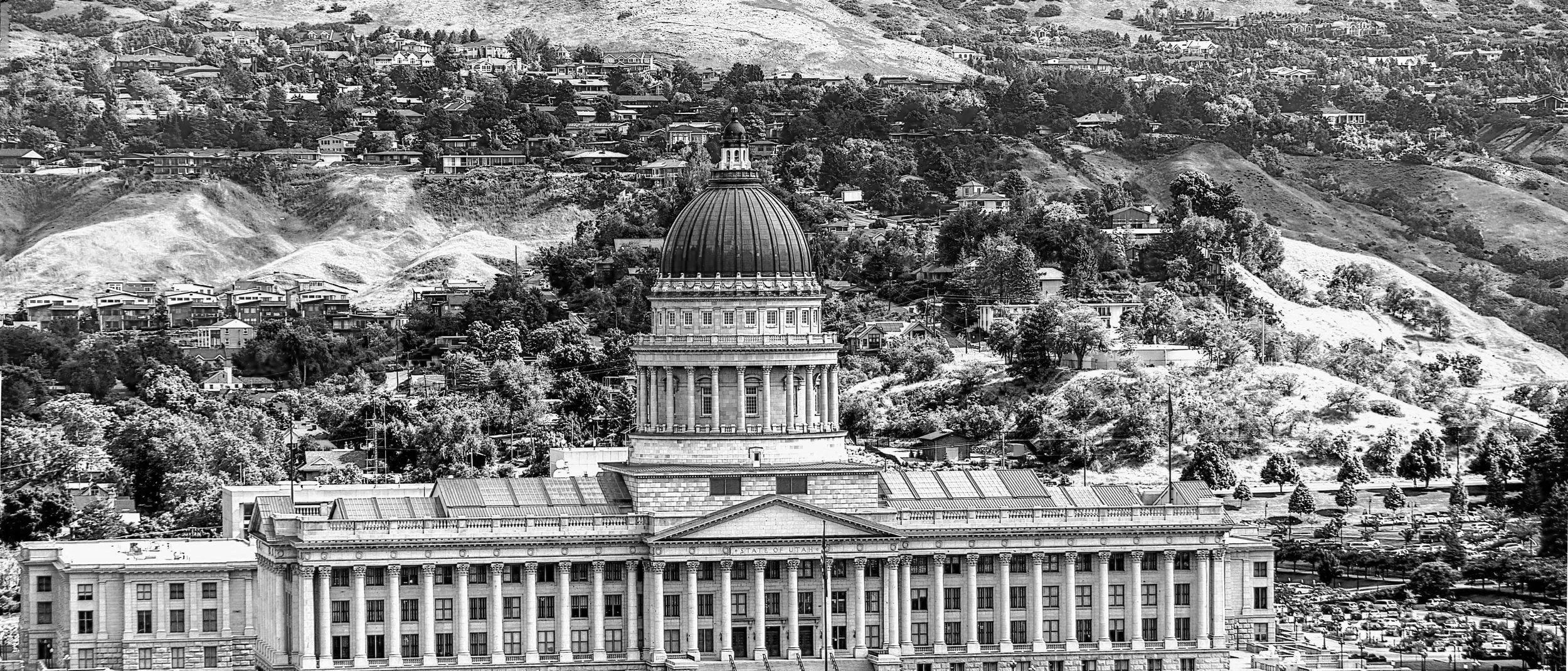 Policy, Advocacy & Ecosystem Leadership