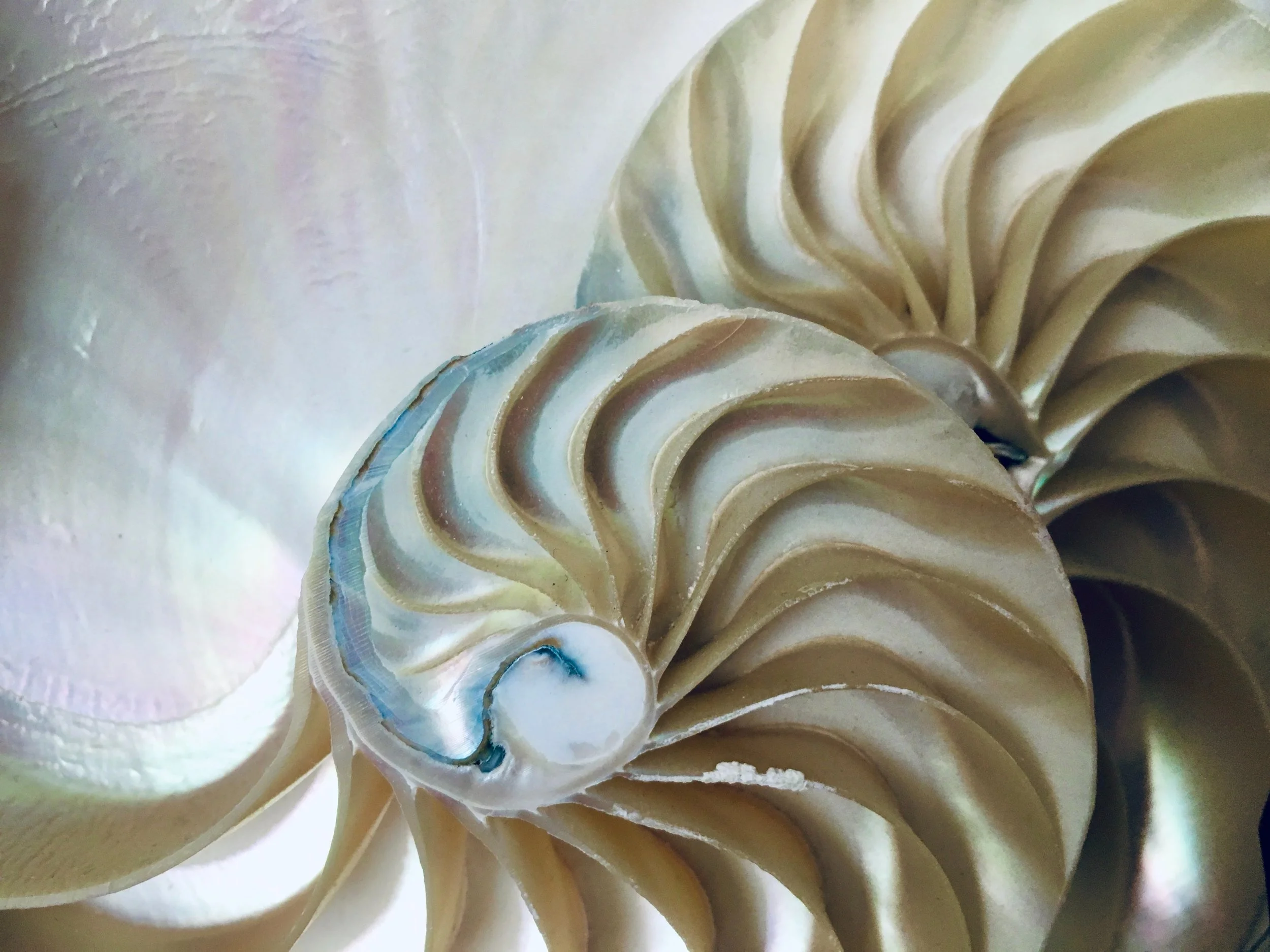 Intuition and Human Design