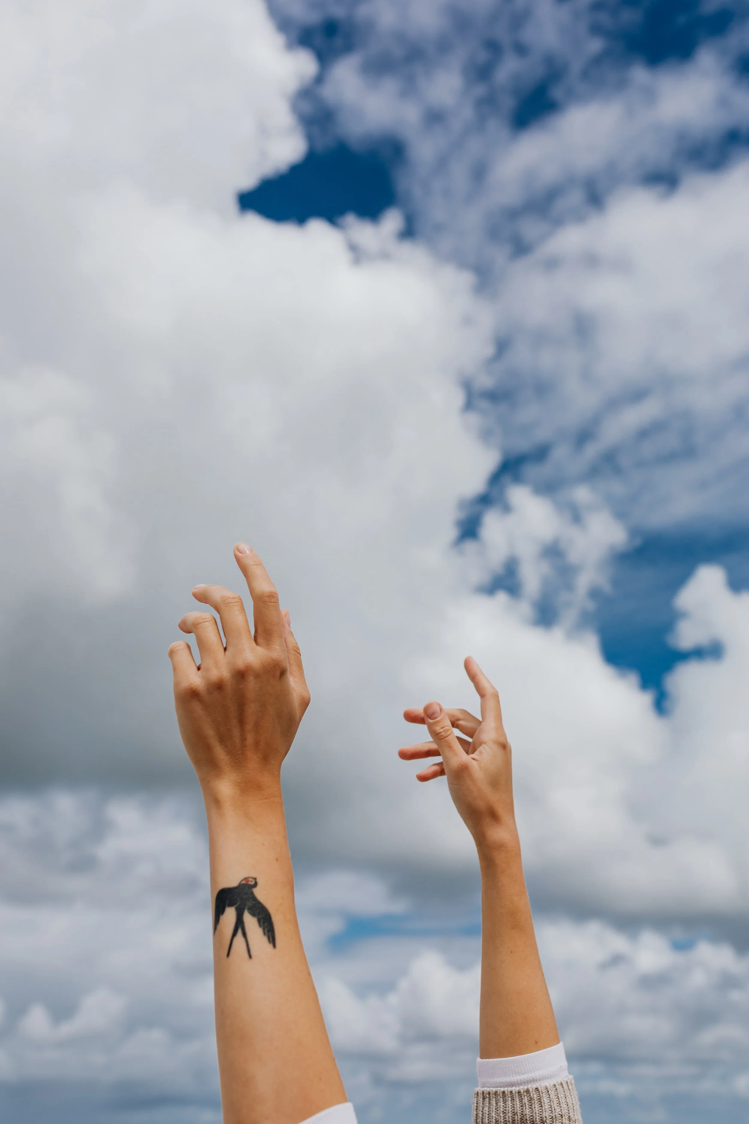 Two hands reach up towards a cloudy sky, one hand has a tattoo of a black bird on the wrist.