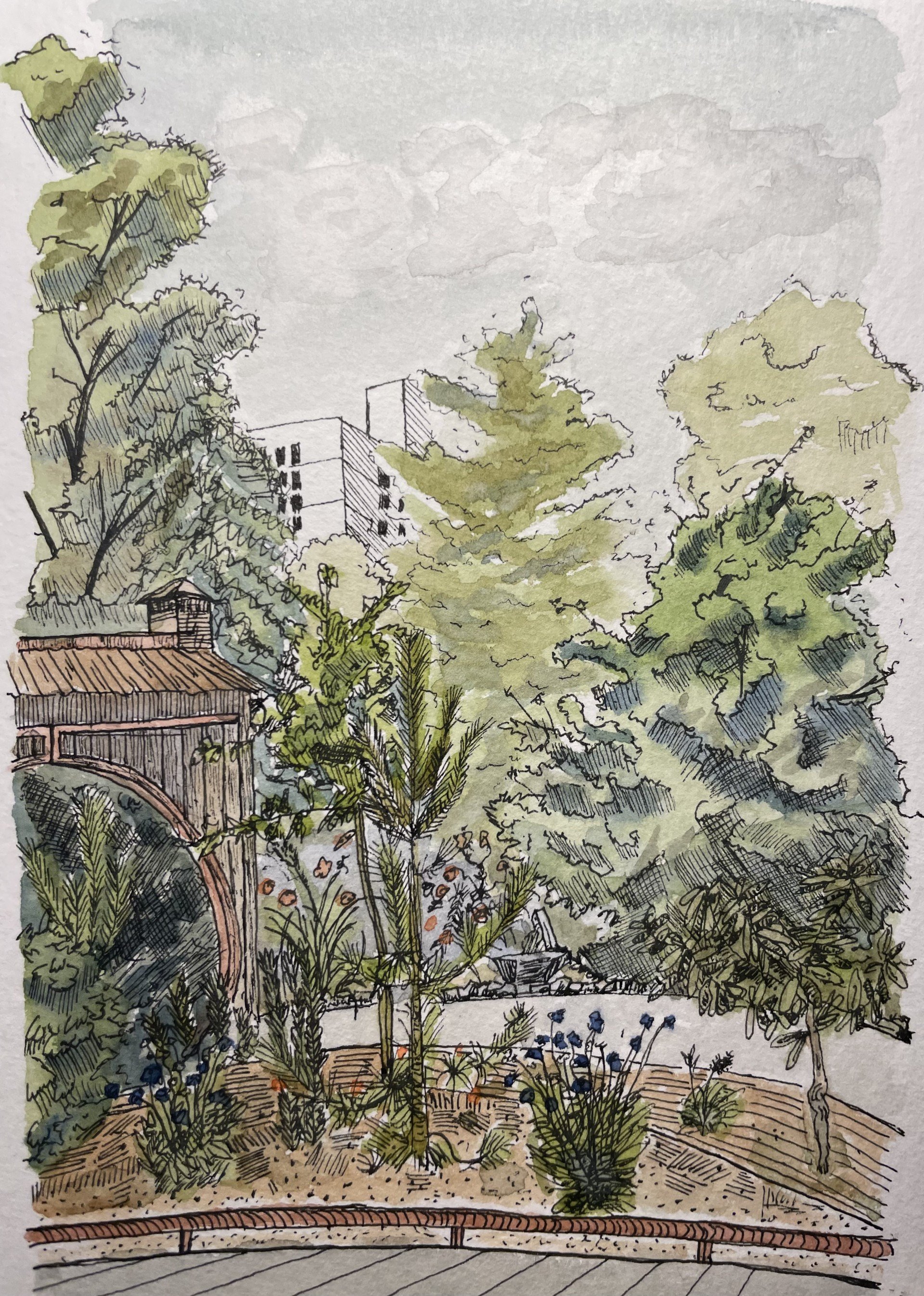 sketch4.jpg