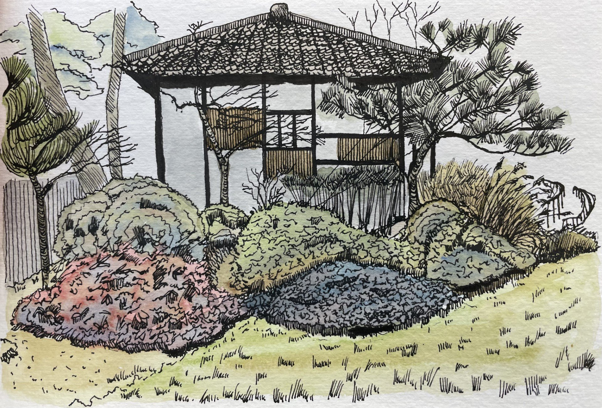 sketch9.jpg