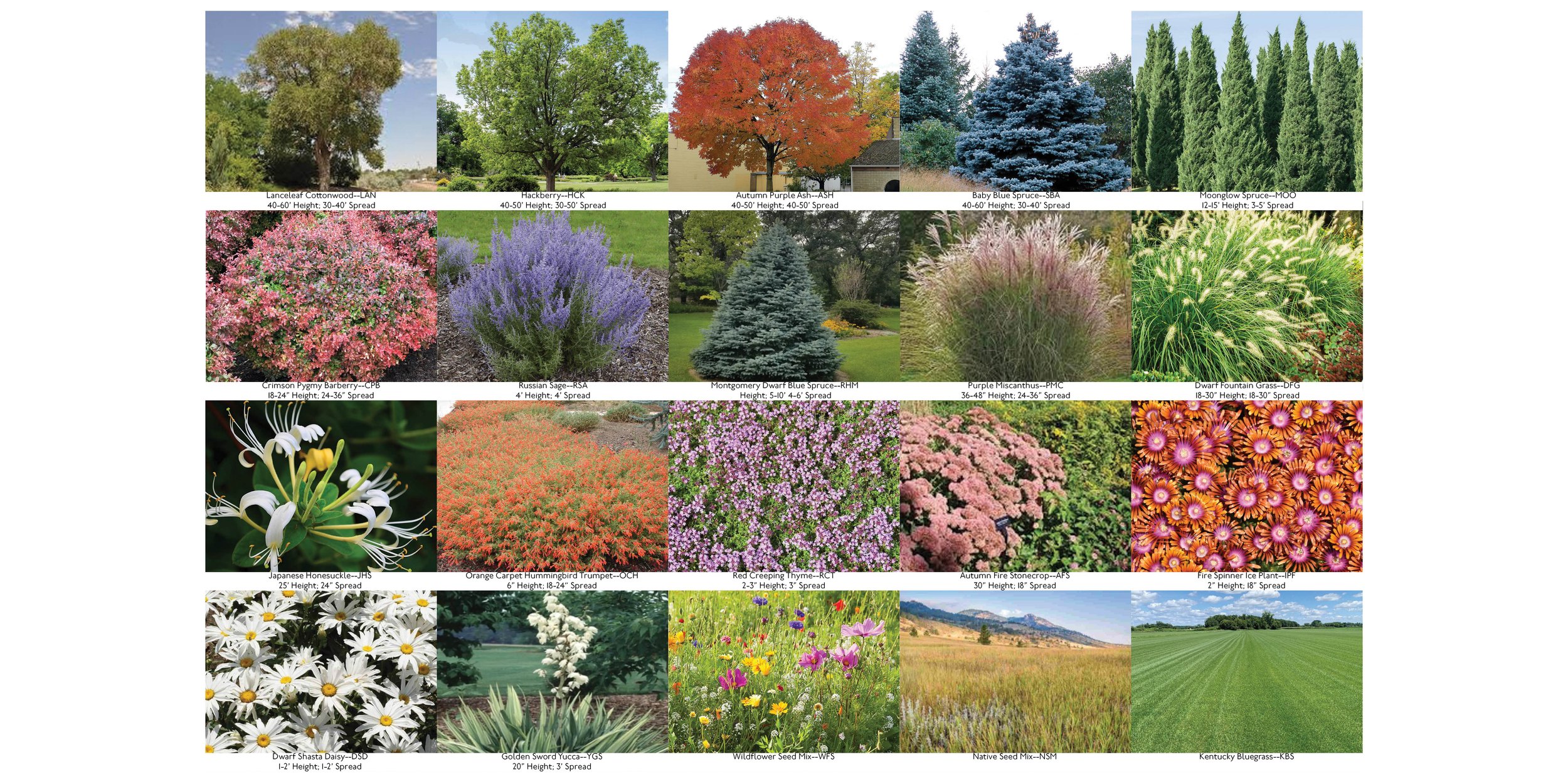 PLANTINGPLAN3.jpg