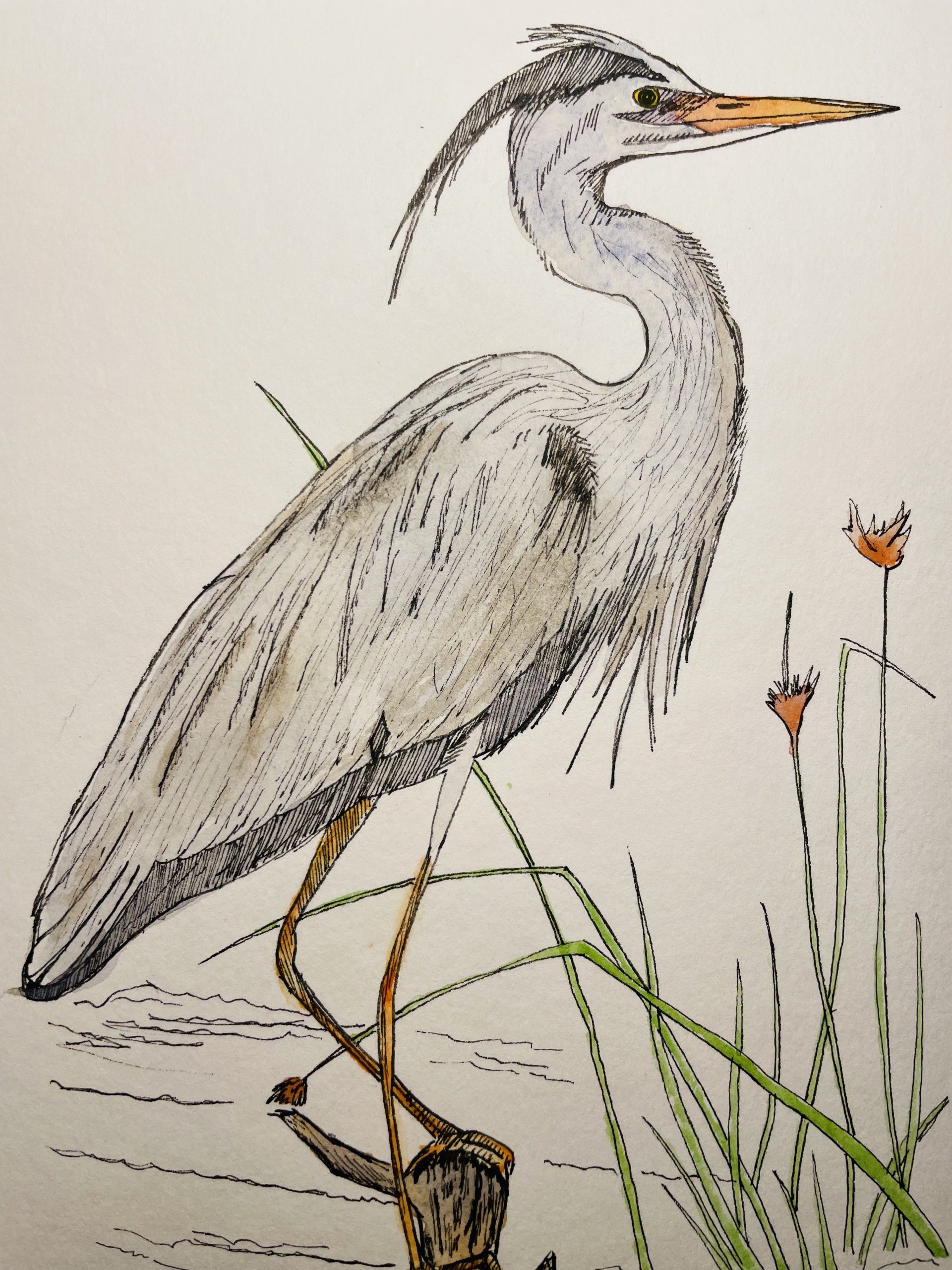 sketch7.jpg