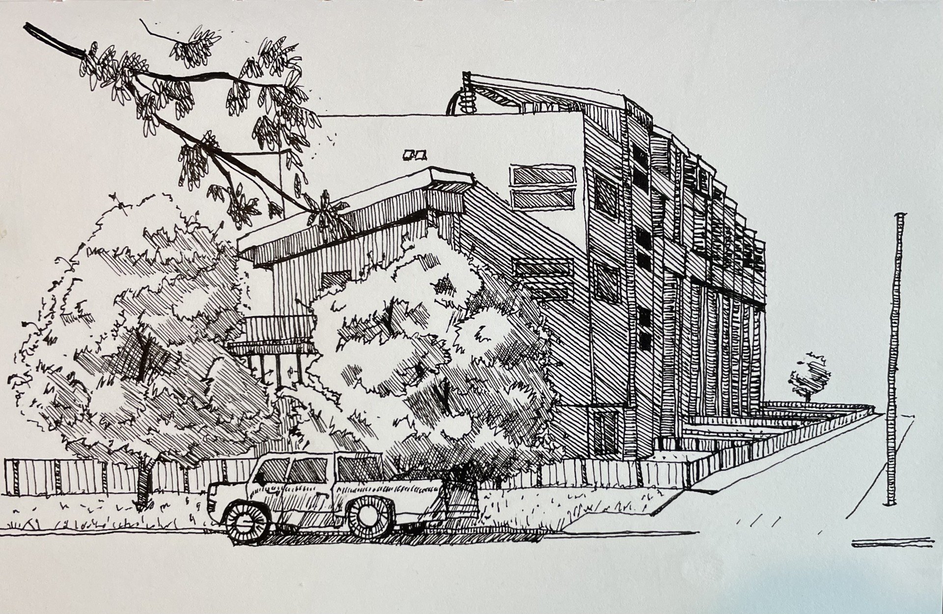 sketch5.jpg