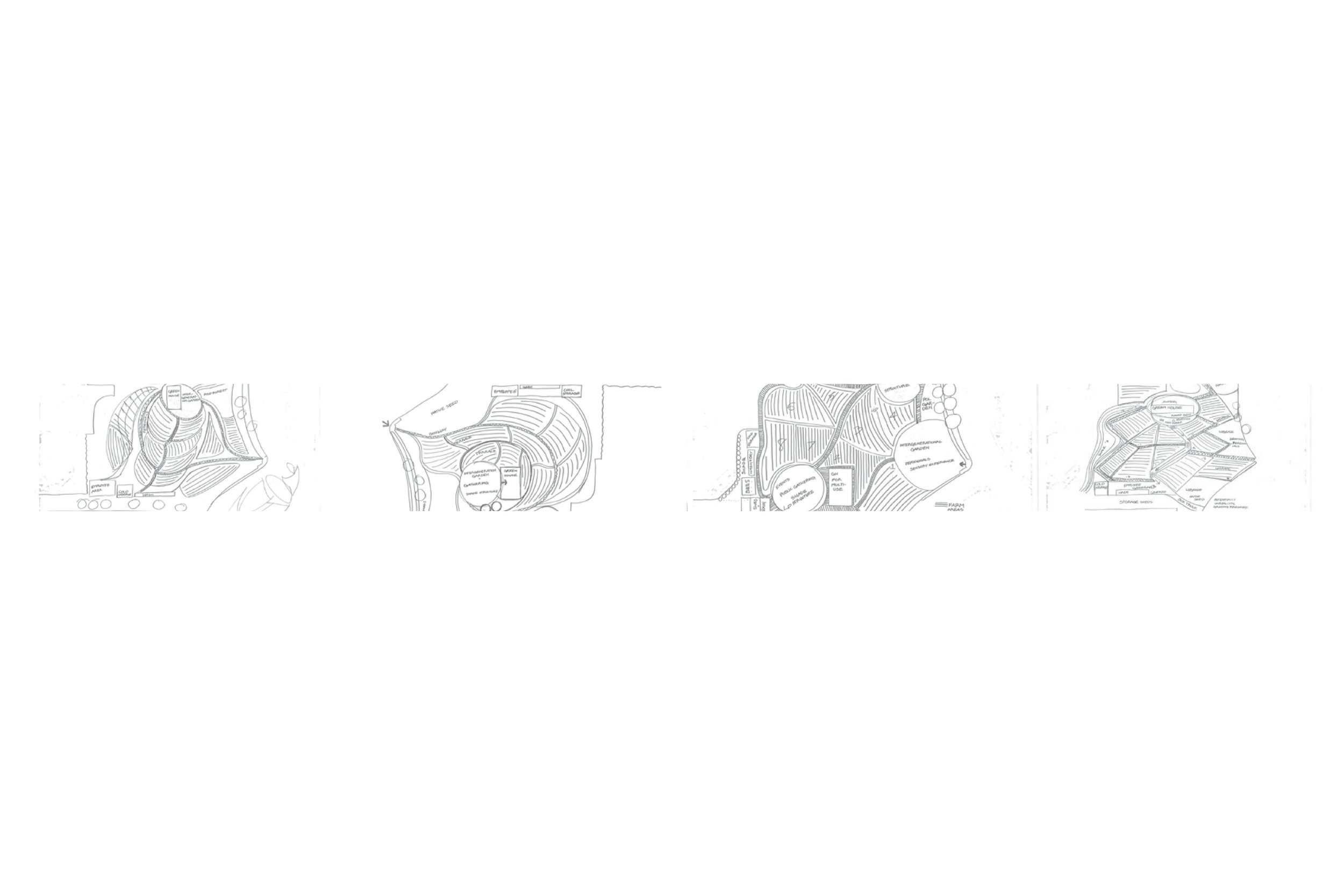 PROCESS.jpg