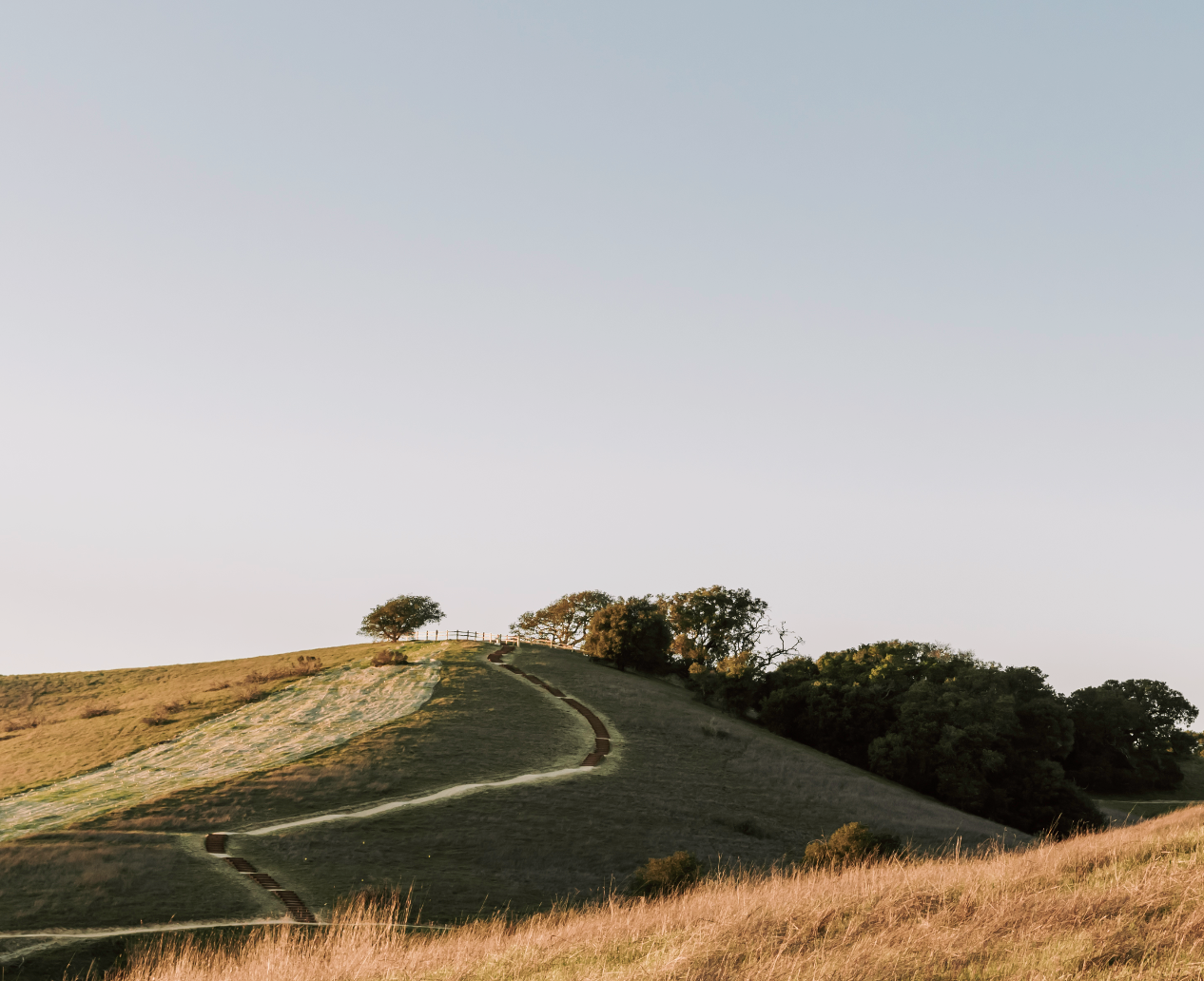 A hill with a winding dirt path leading to the top, bordered by grassy fields and trees under a clear sky.