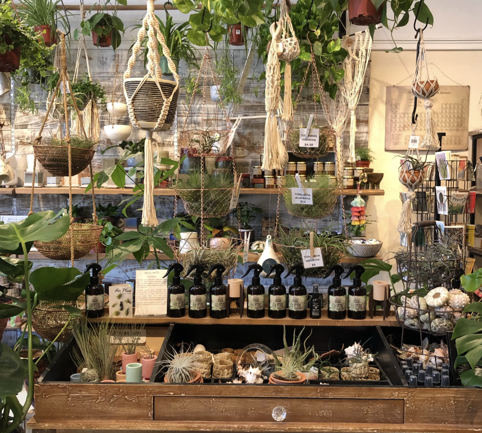 Indoor plant shop display with hanging macramé plant holders, various potted plants, and bottles of plant care products on a wooden shelf.
