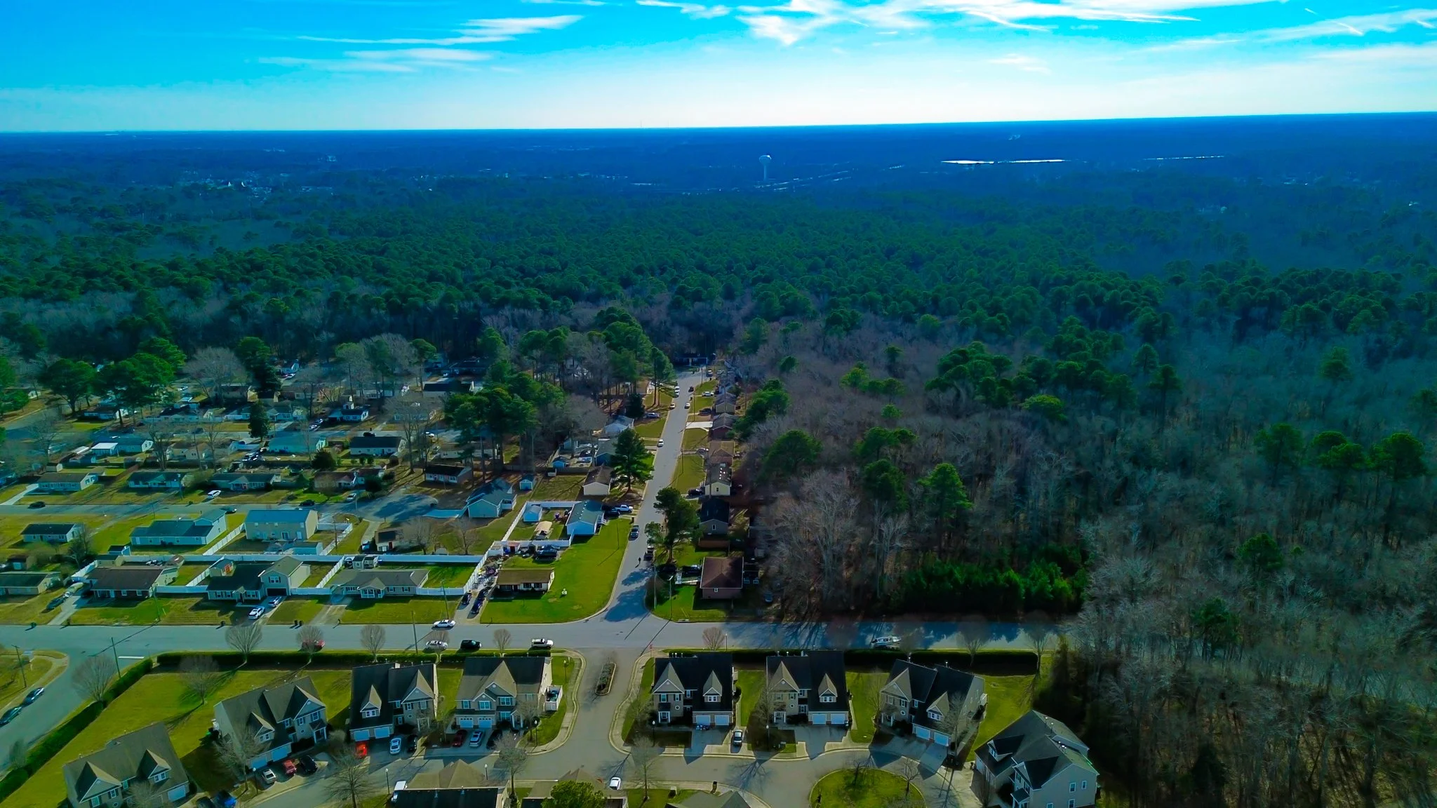 Aerial view of a residential neighborhood next to a dense forest and a vast green landscape with a blue sky.