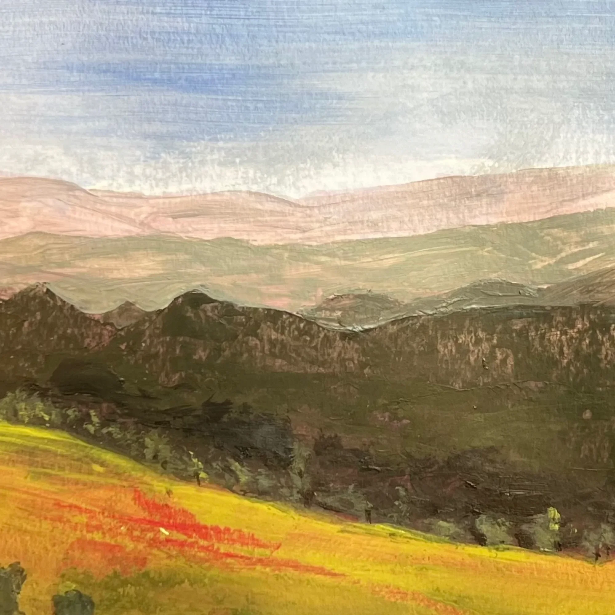 Close-up of subtle texture and changing light in the Spanish landscape painting Held Light