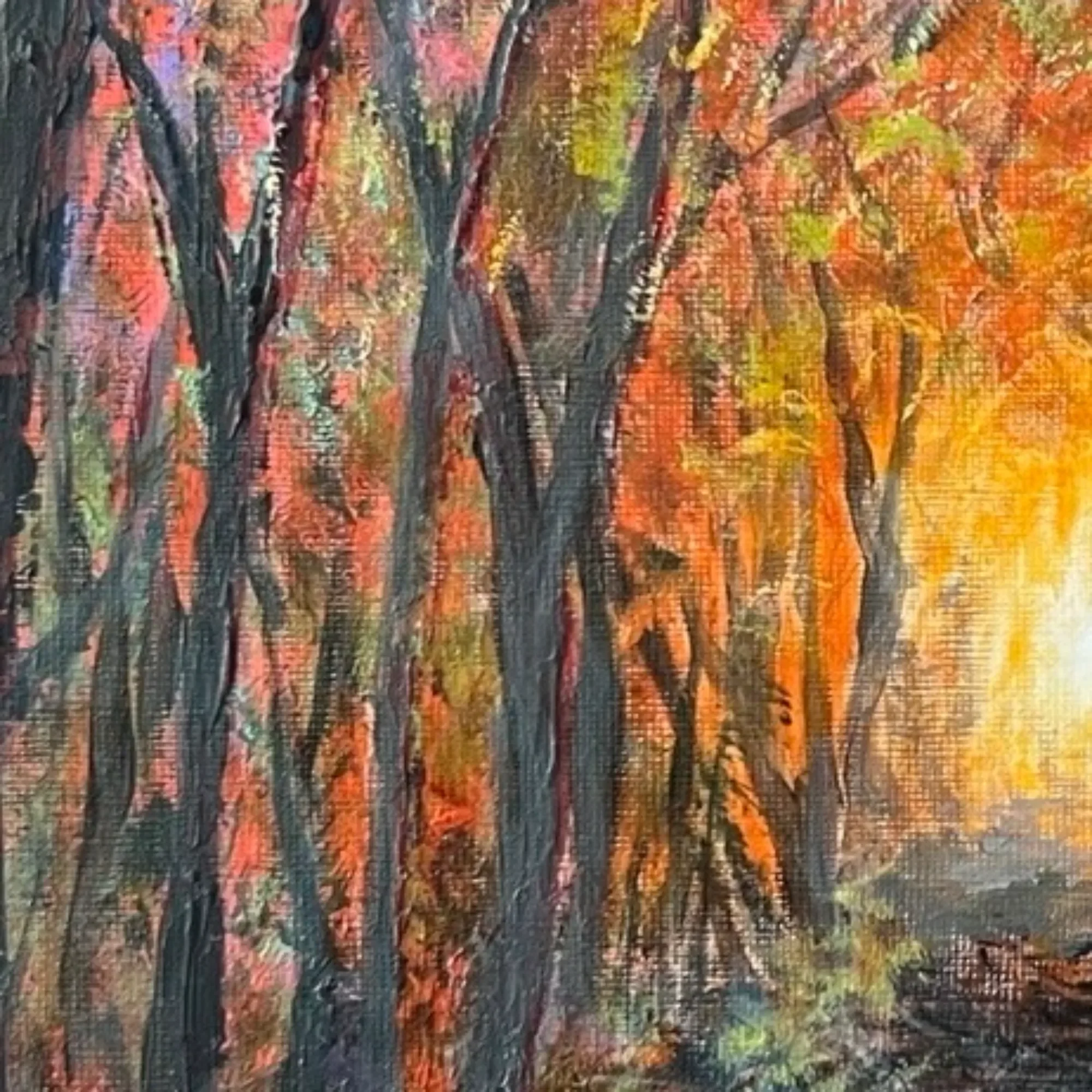 Close-up of the distant blaze of light between the trees in Forest Emberlight