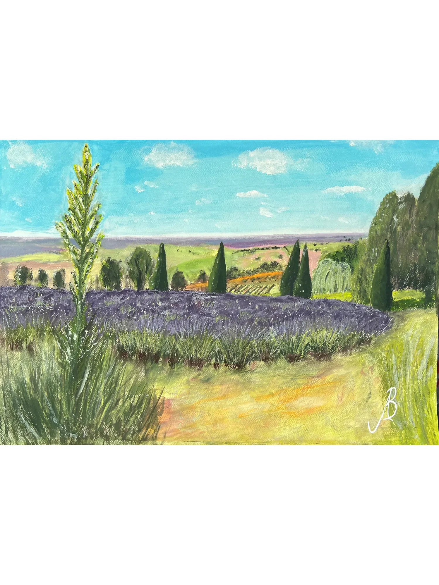 Summer at Yorkshire Lavender