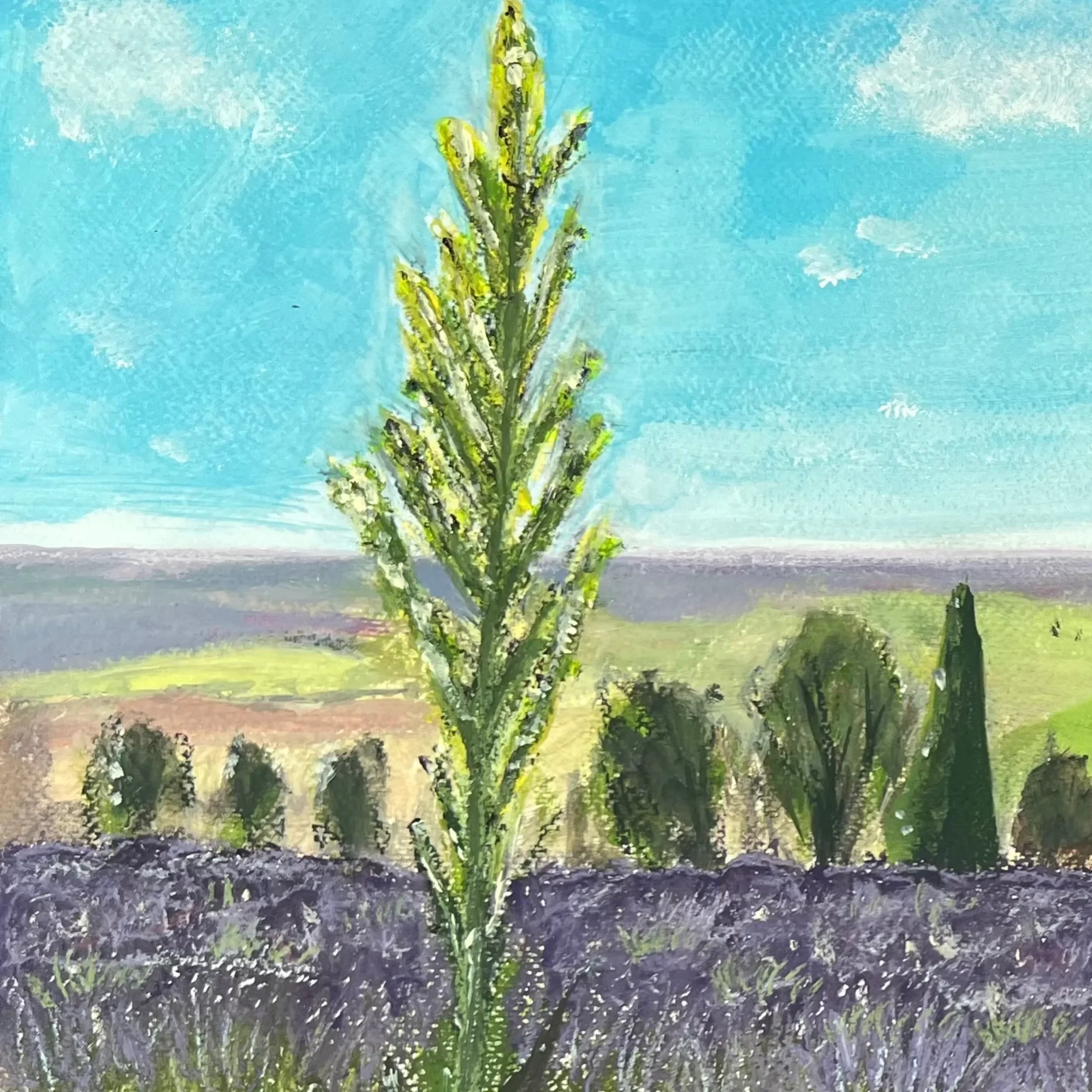 Close-up of the foreground plant, muted purples and restrained greens in Summer at Yorkshire Lavender
