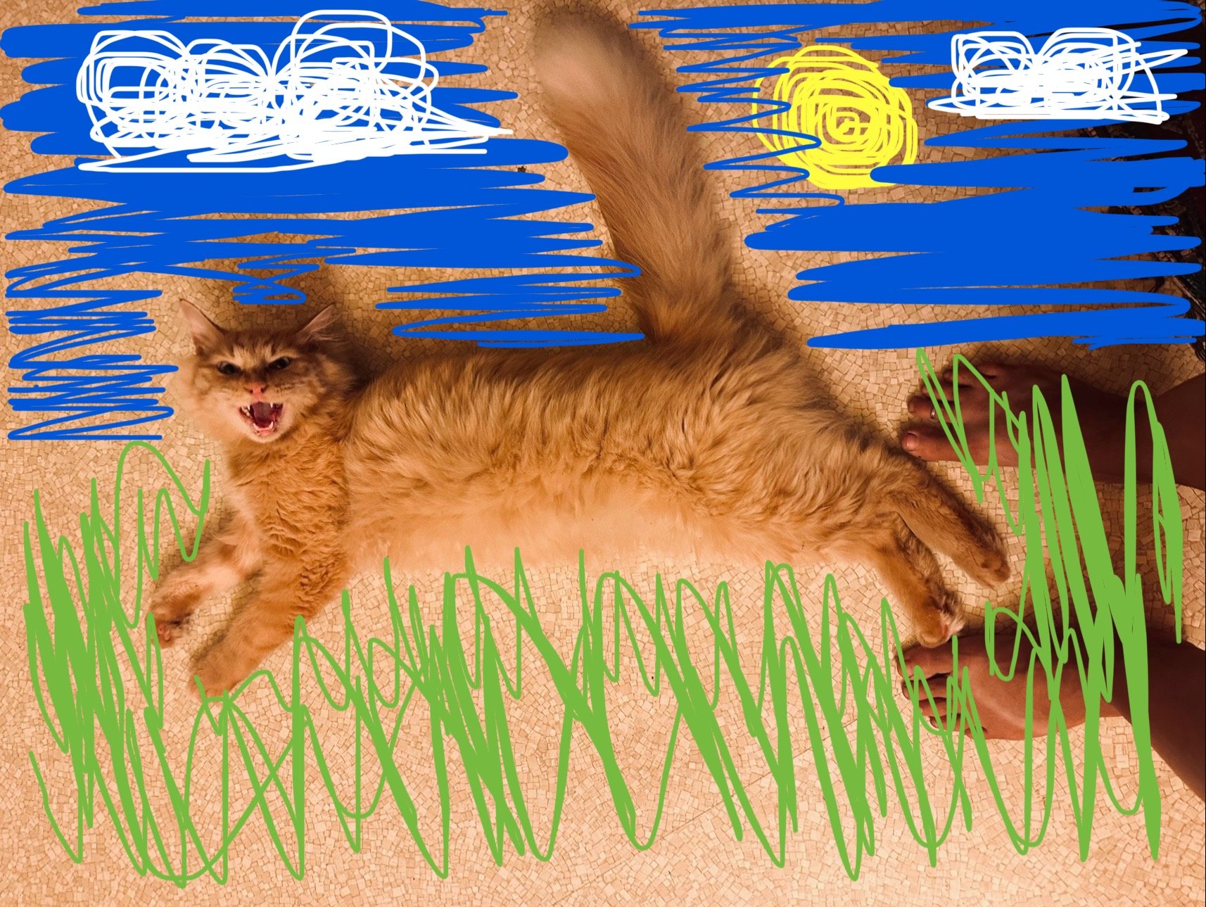 Another Orange Cat.