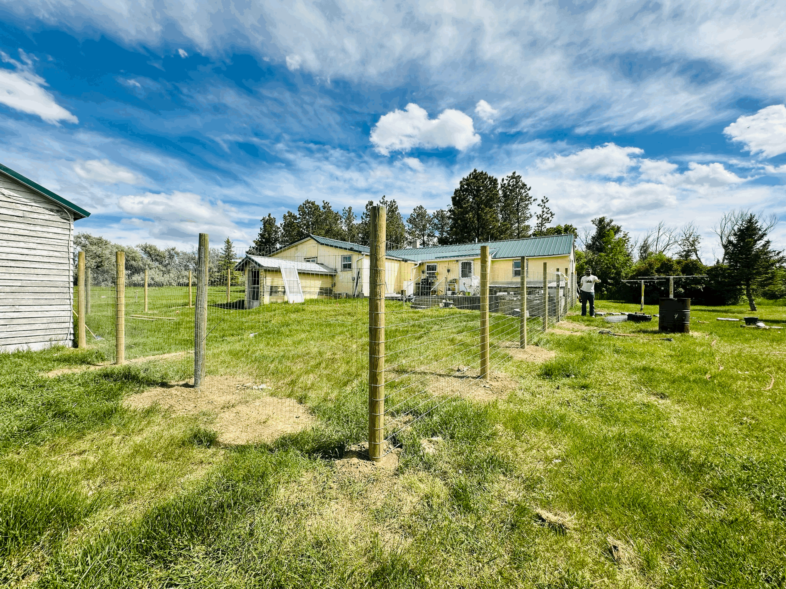 Fence.