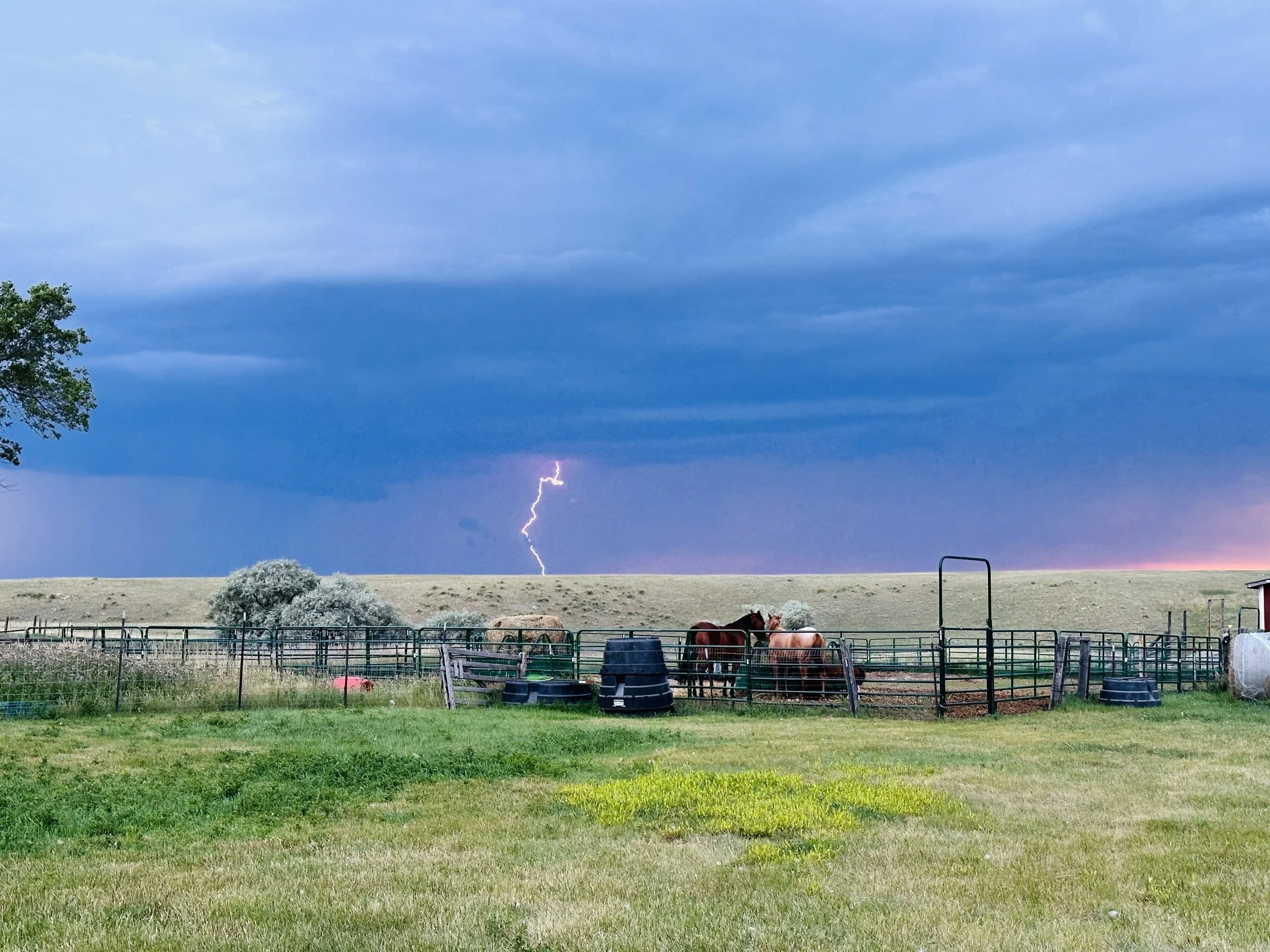 Afternoon Storm.