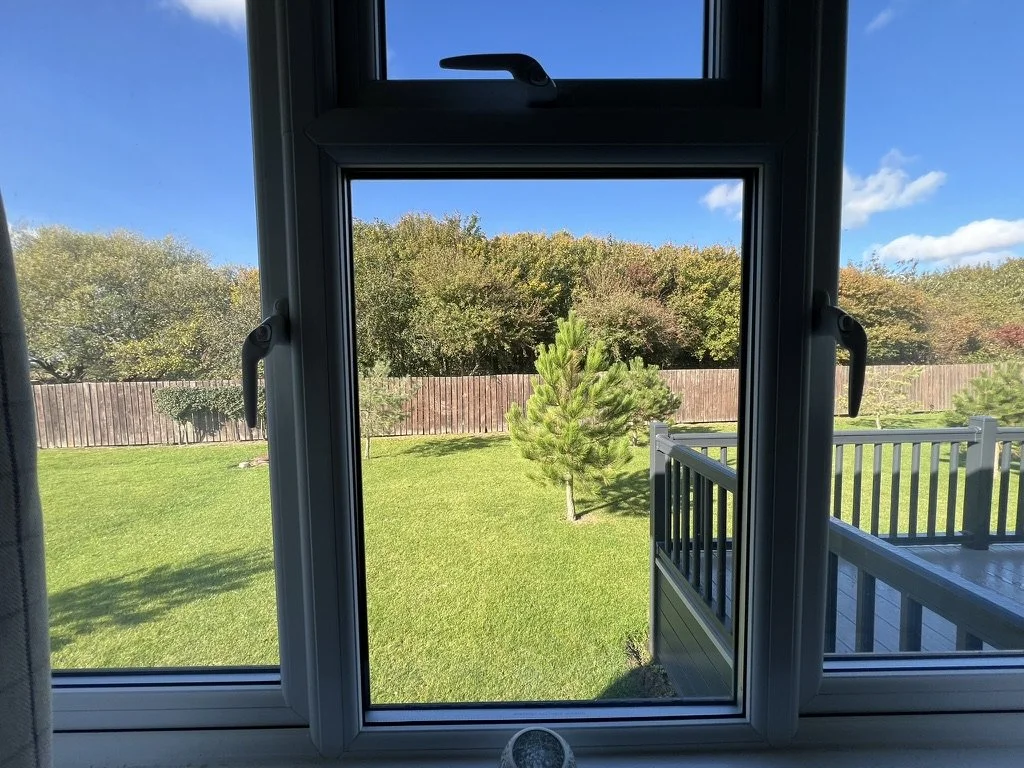 View of a backyard through a window showing a grassy lawn, small trees, a wooden fence, and a clear blue sky with some clouds.